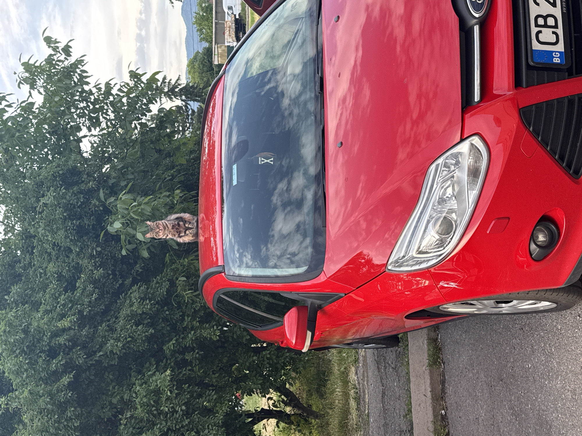 Tabby cat sits on red car in Sofia residential street