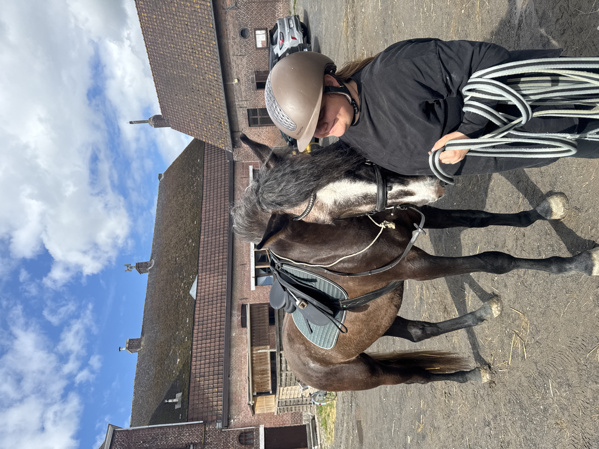 Horse training session observed in Estaimpuis riding arena