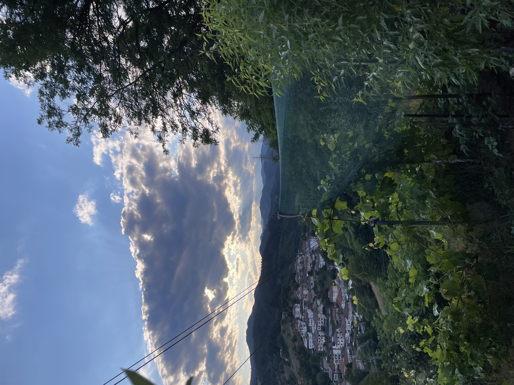 Backyard animals and blooms in a Zlatograd hillside setting