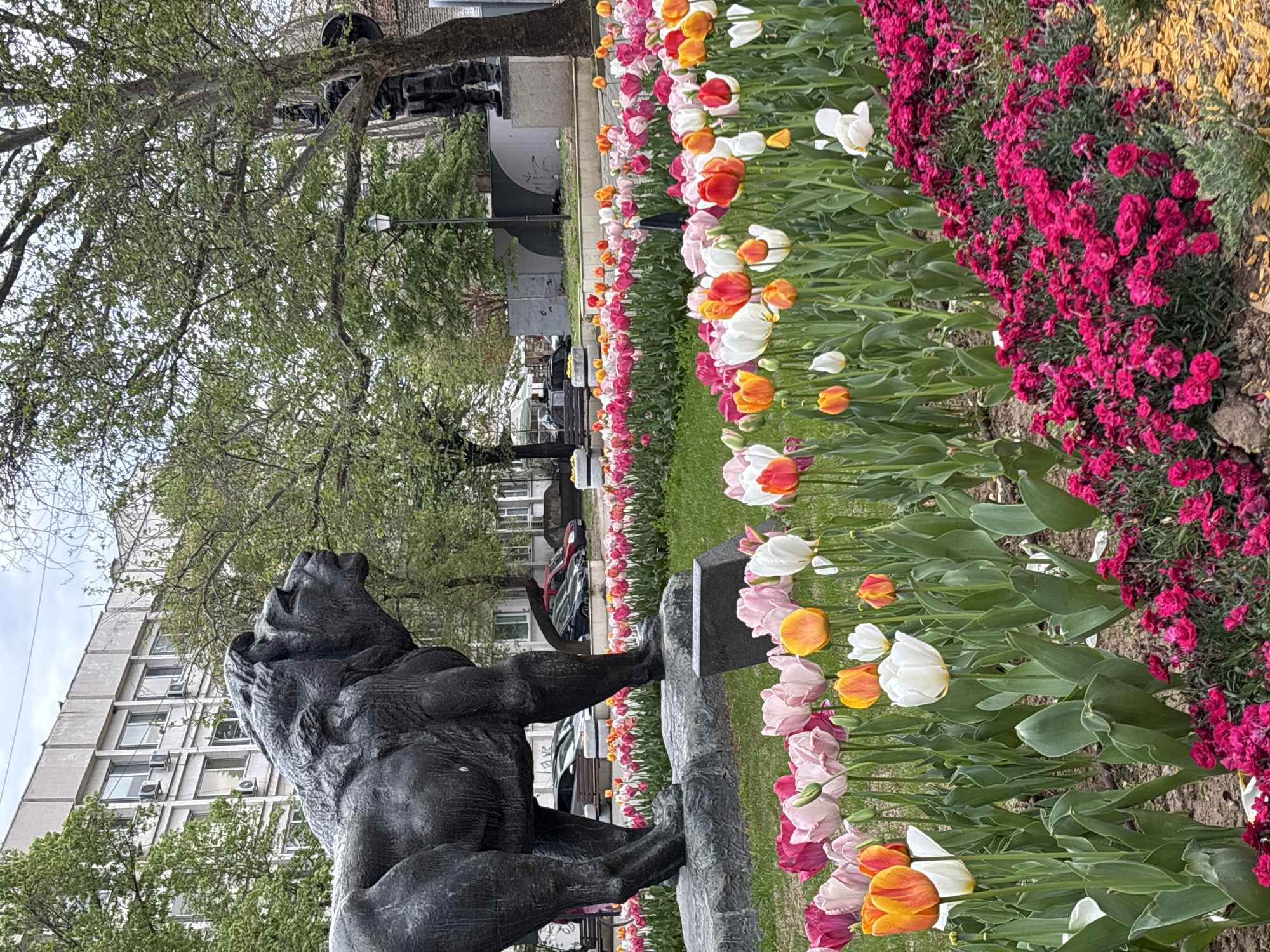 Public park scene with statue documented in Pazardzhik, Bulgaria