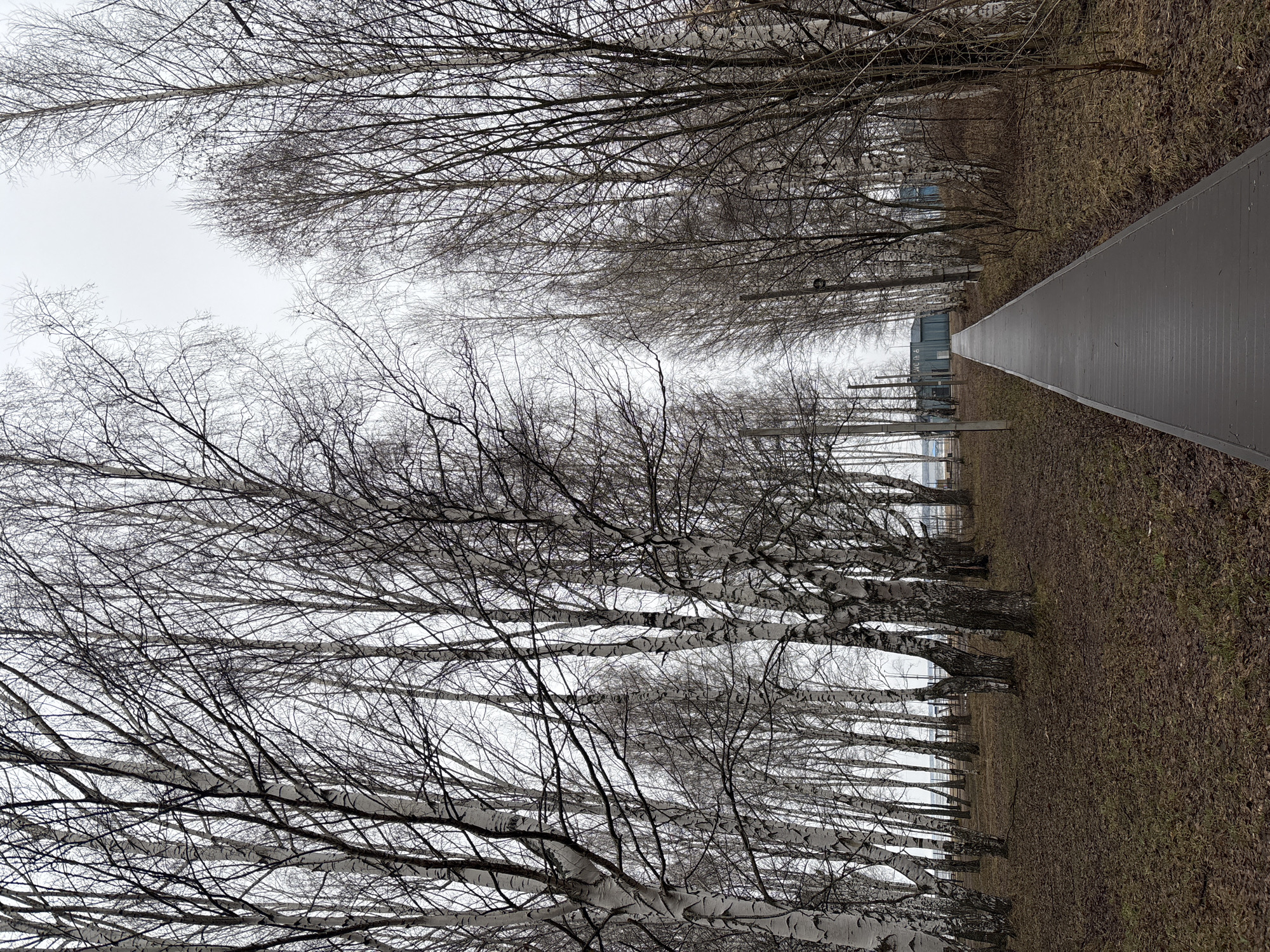 Spring scenes documented in Chaikovsky Russia waterfront and forests