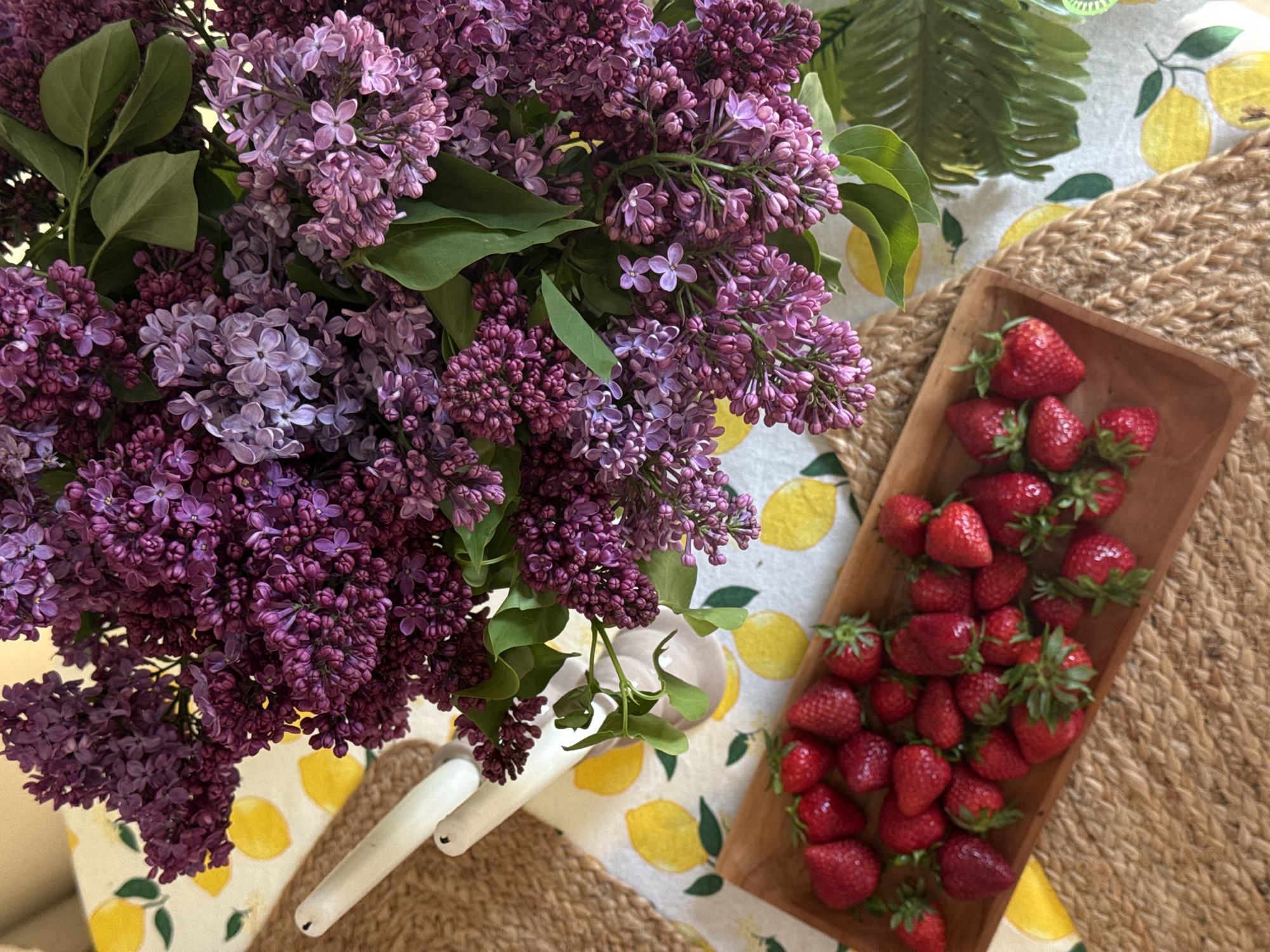 Spring still life arrangement captured in Belgrade suburb