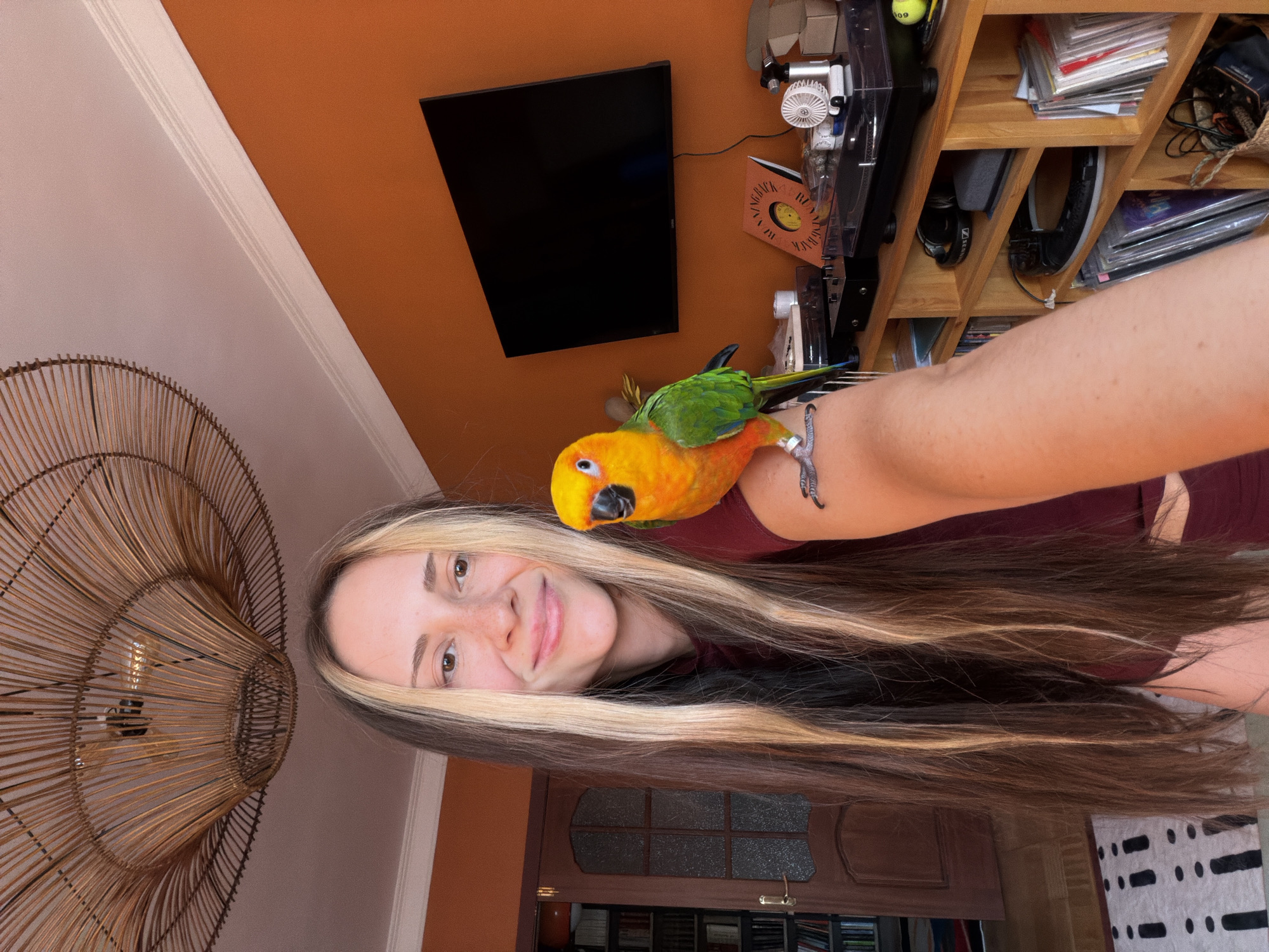 Selfie moment with a vivid sun conure in Khimki