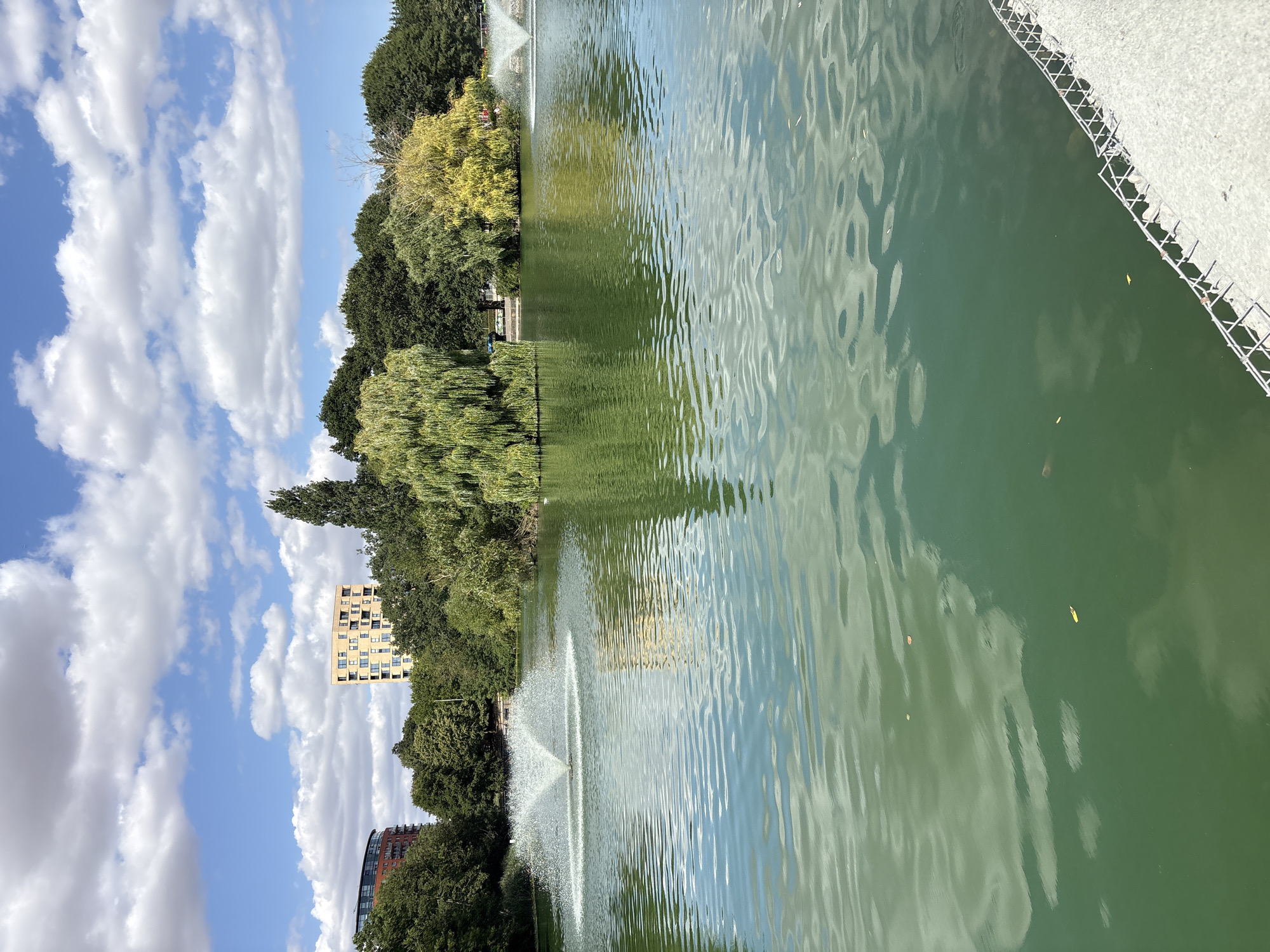 Chelmsford park lake and gardens on a busy summer afternoon