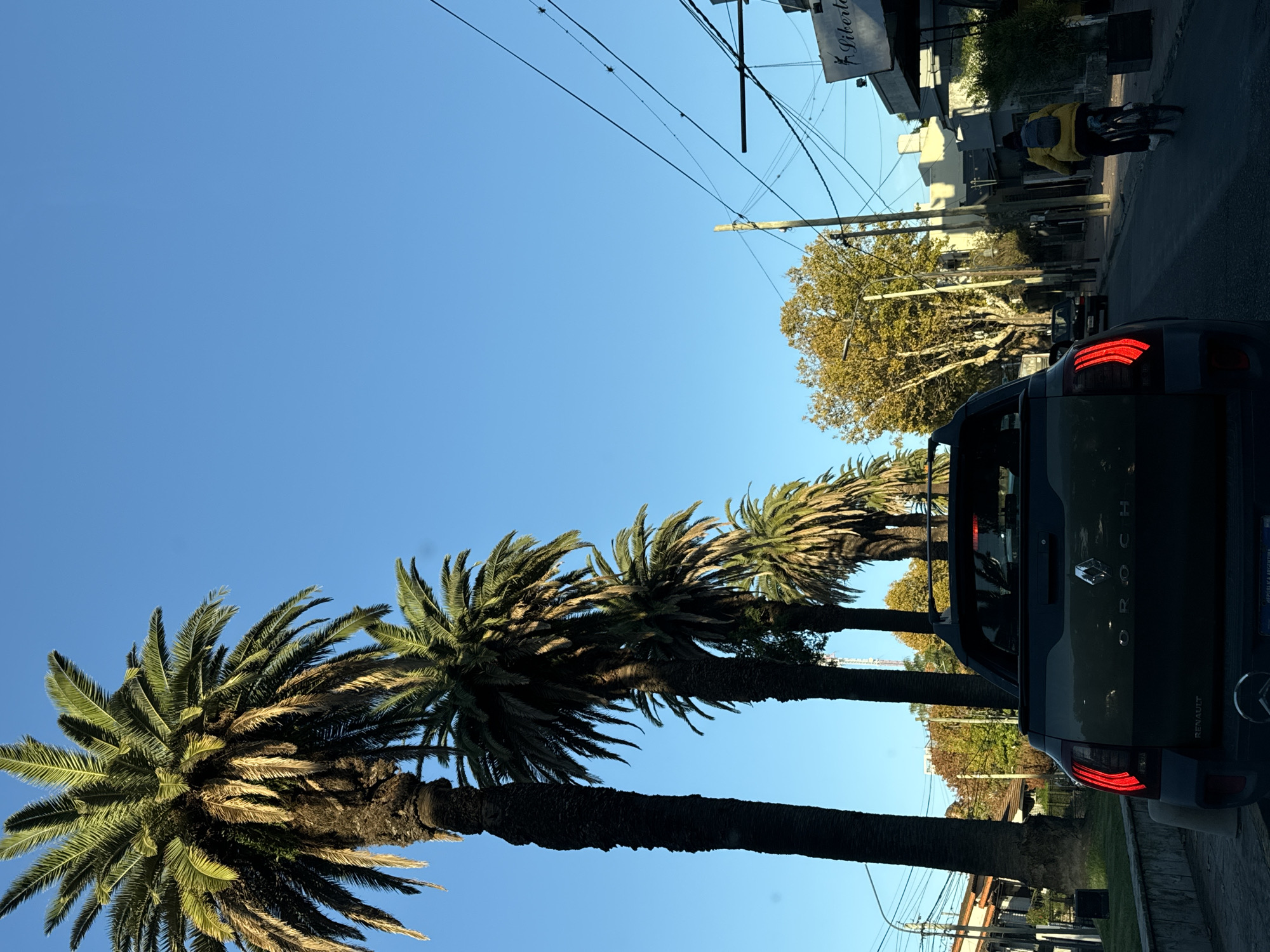 Street scenes captured in Tigre, Argentina showing palms, vintage cars