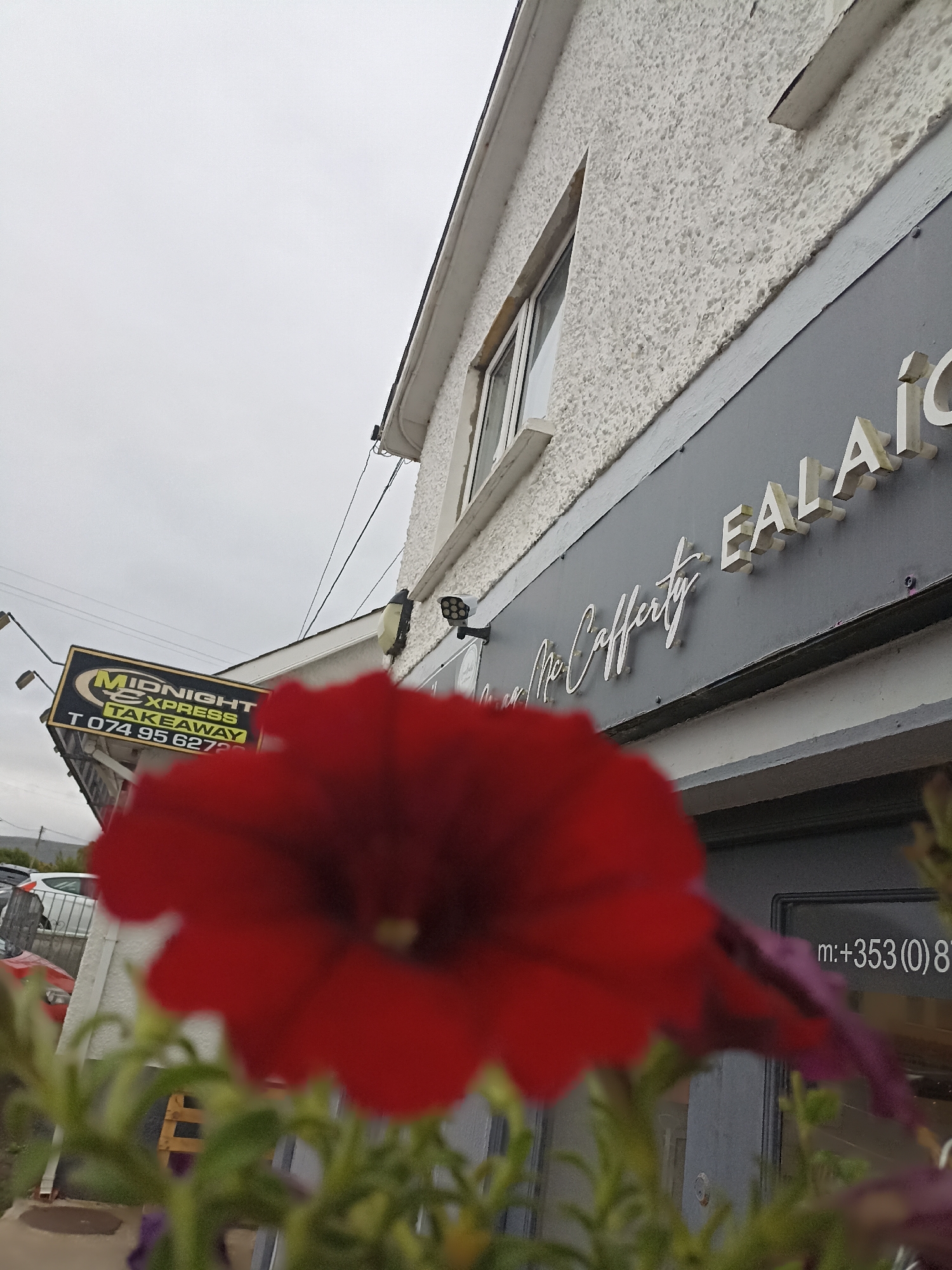 Flowers and street detail outside a small Donegal village