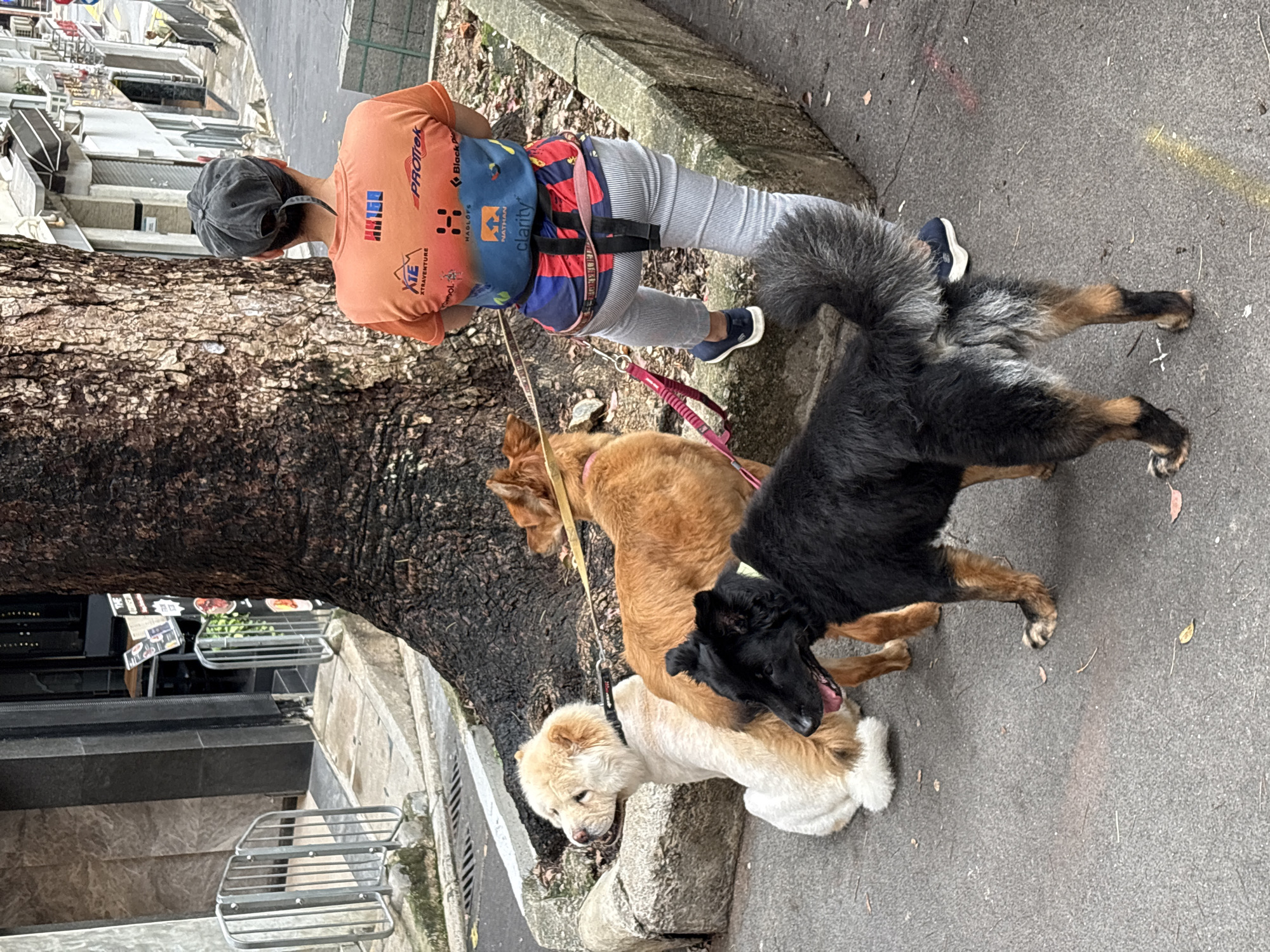 Morning dog walker and pedestrian spotted on Hong Kong streets