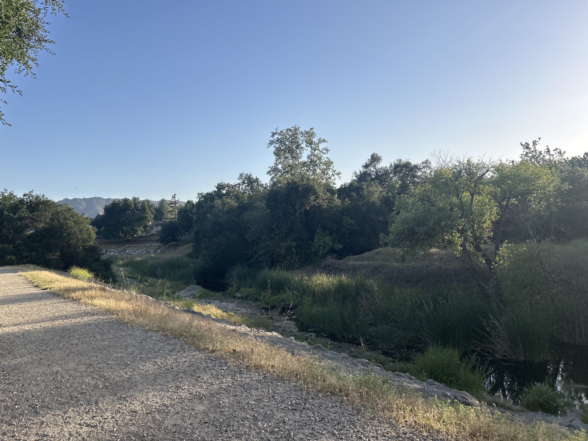 Early morning nature walk documented in Oak Park, California