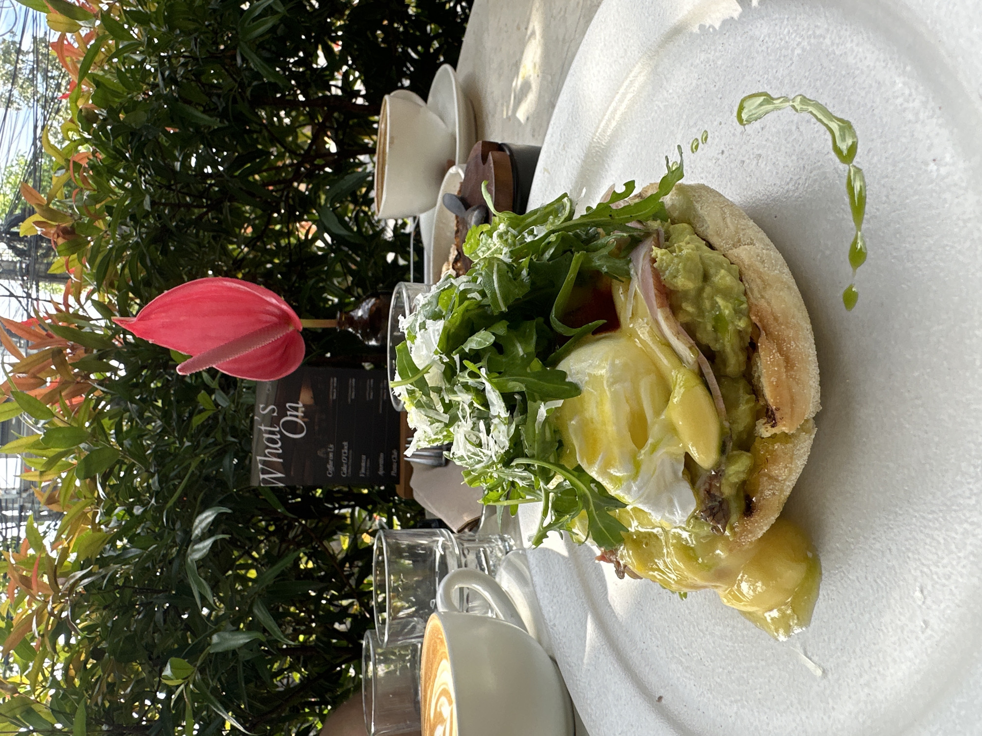 Diner enjoys Eggs Benedict at outdoor cafe