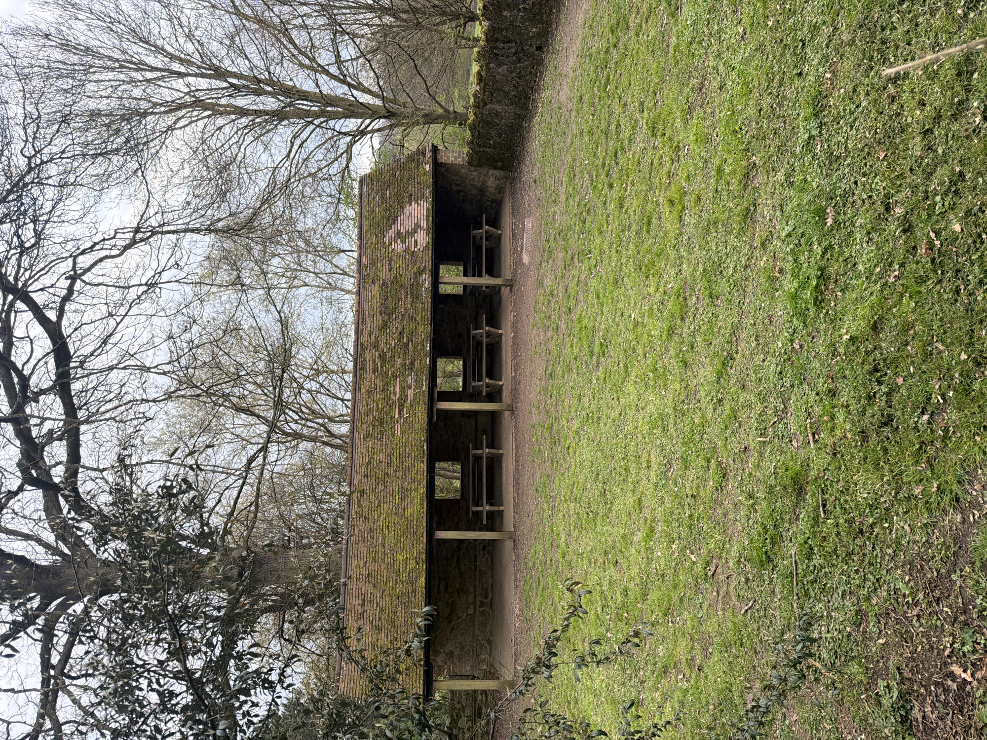 Park scenes captured in Maidstone show shelter and wildlife
