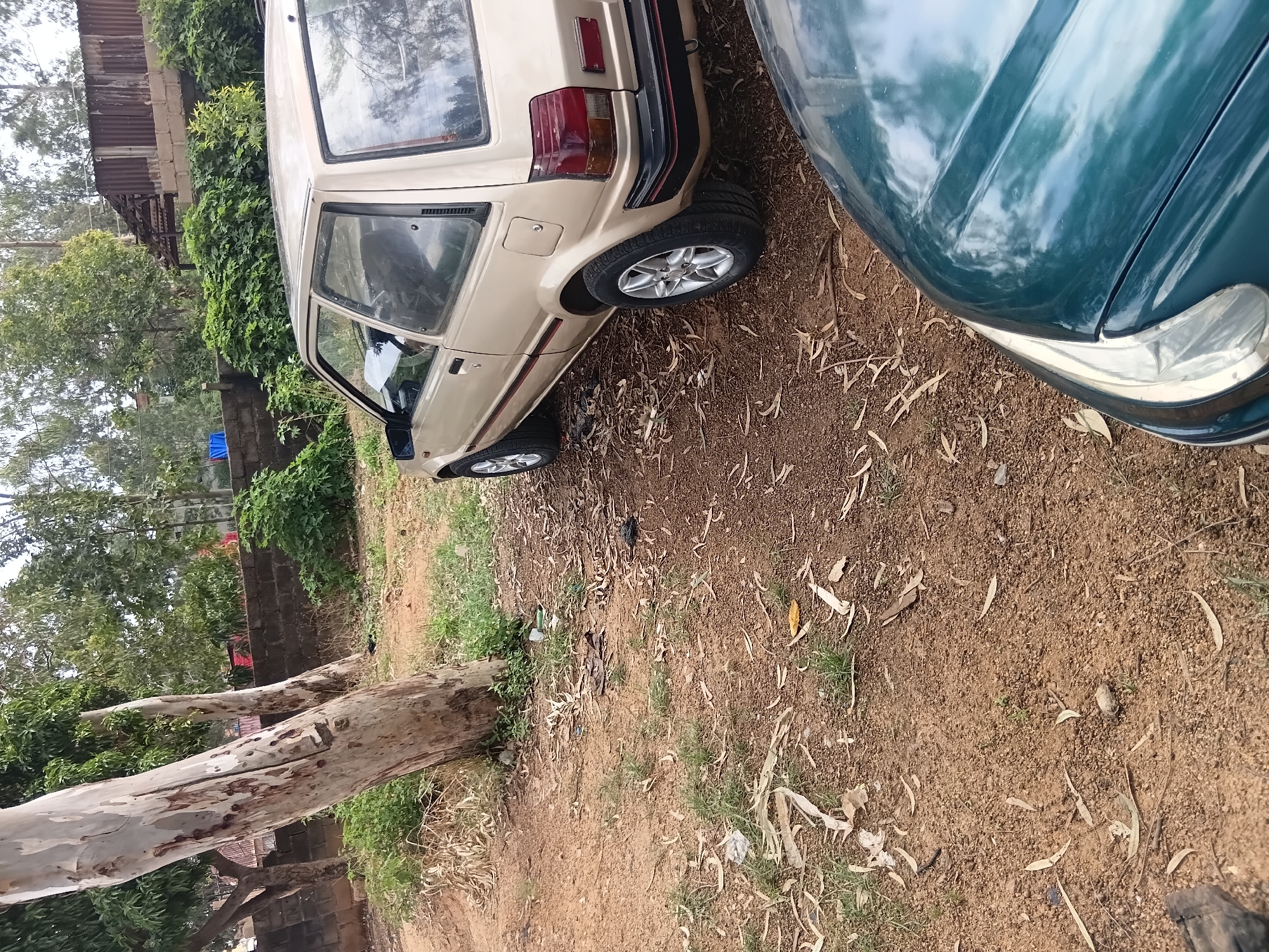 Damaged sedan documented in unpaved yard during morning hours