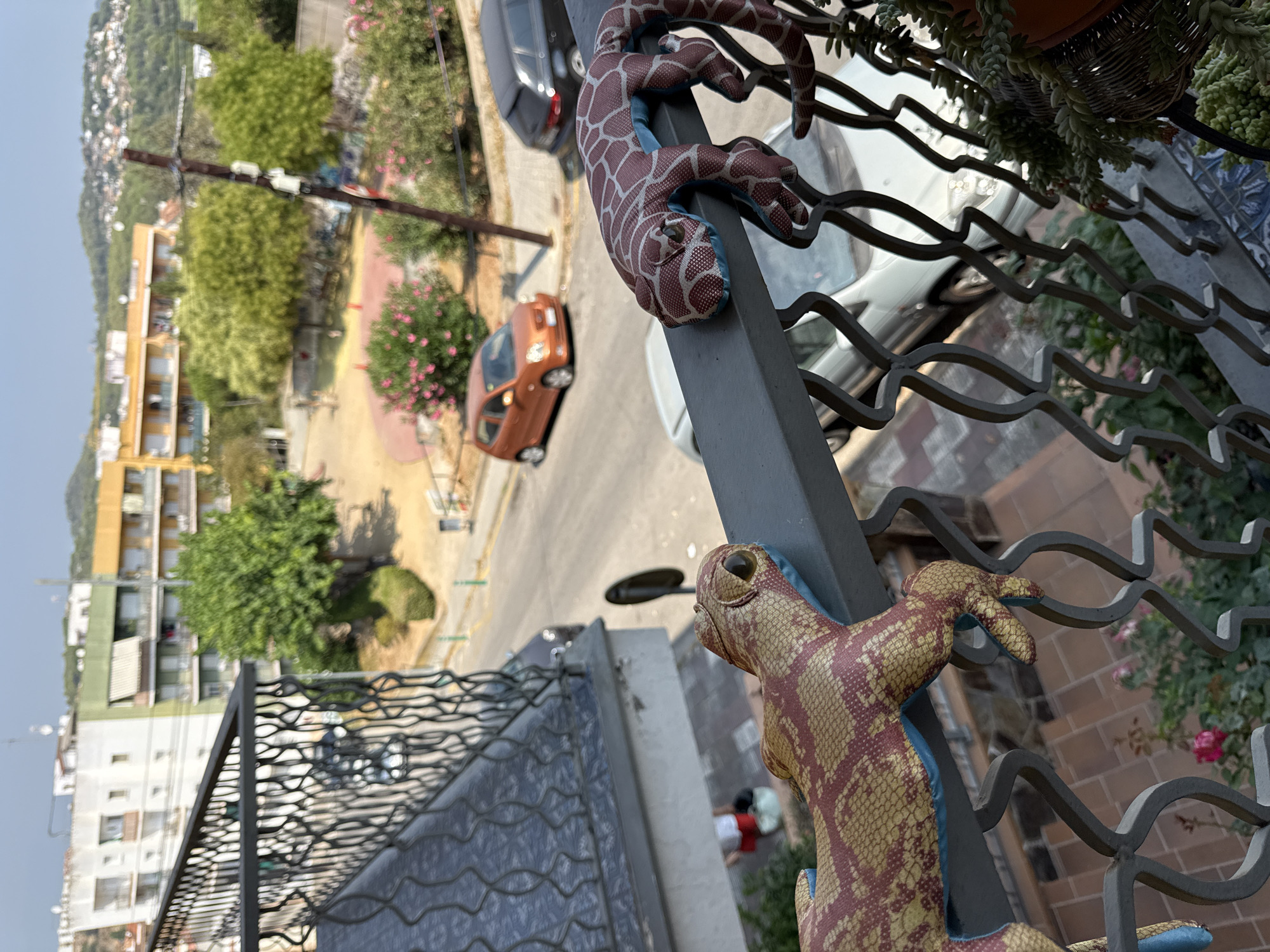 Balcony plant collection and quirky decor in Blanes, Spain