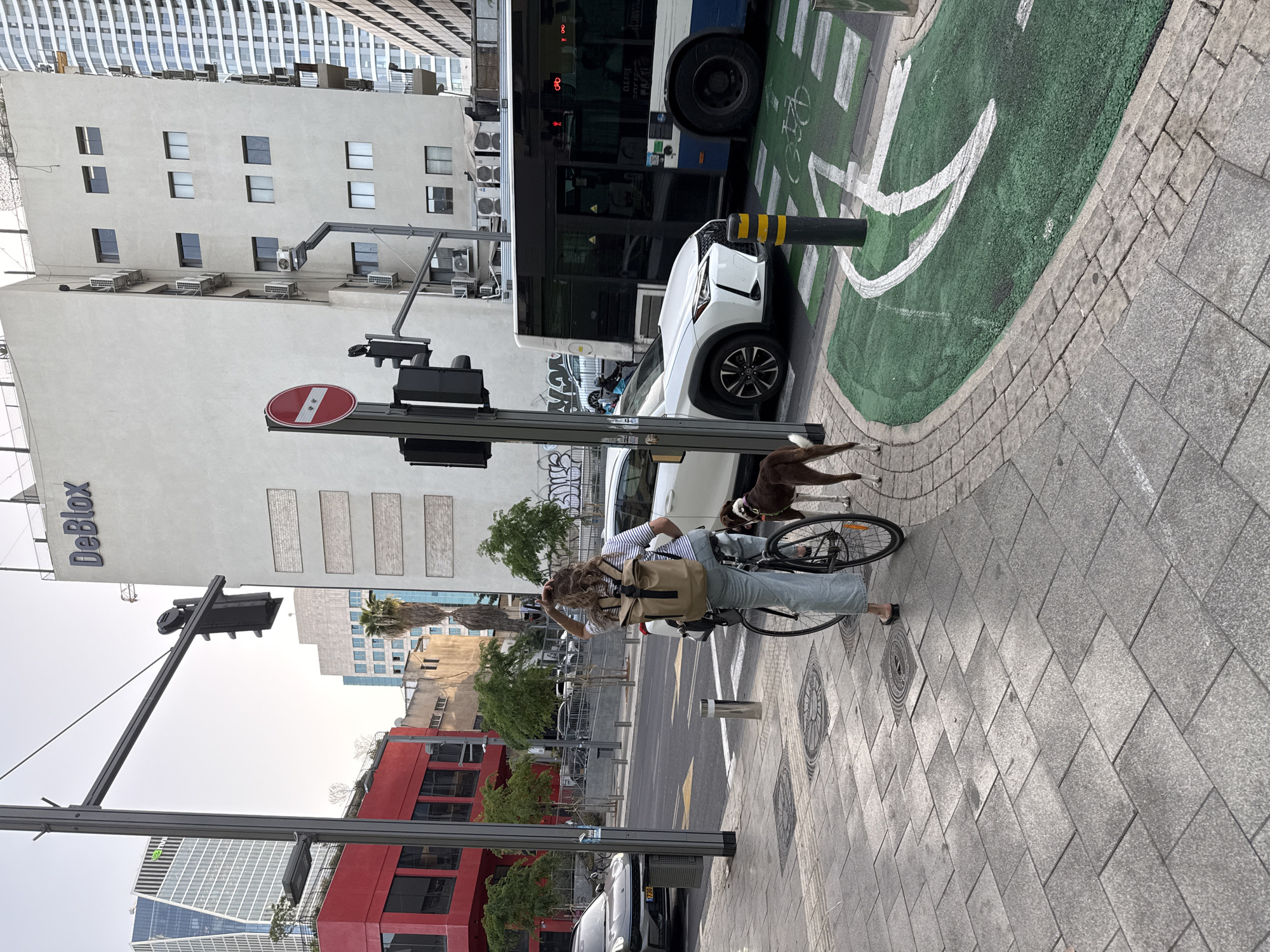 Person with bicycle and dog spotted on Tel Aviv sidewalk