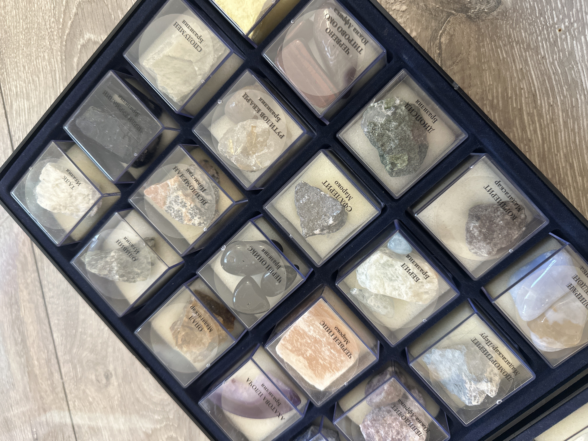 Mineral collection display documented in Sofia, Bulgaria