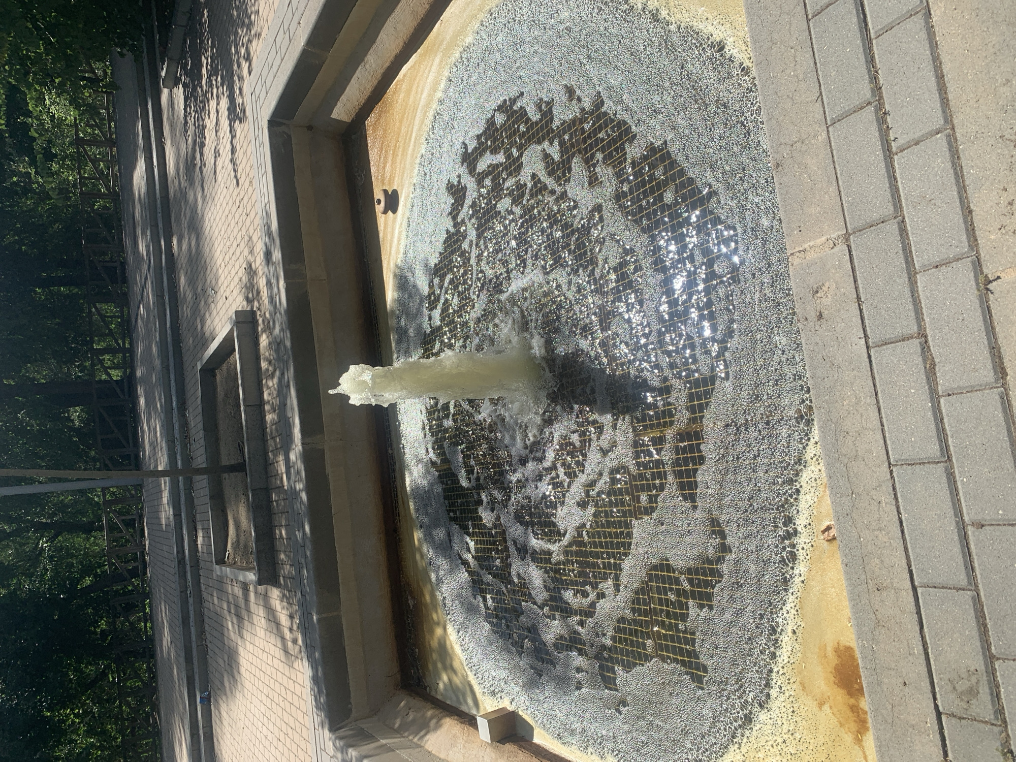 Visitor documents sunny afternoon stroll through Madrid park
