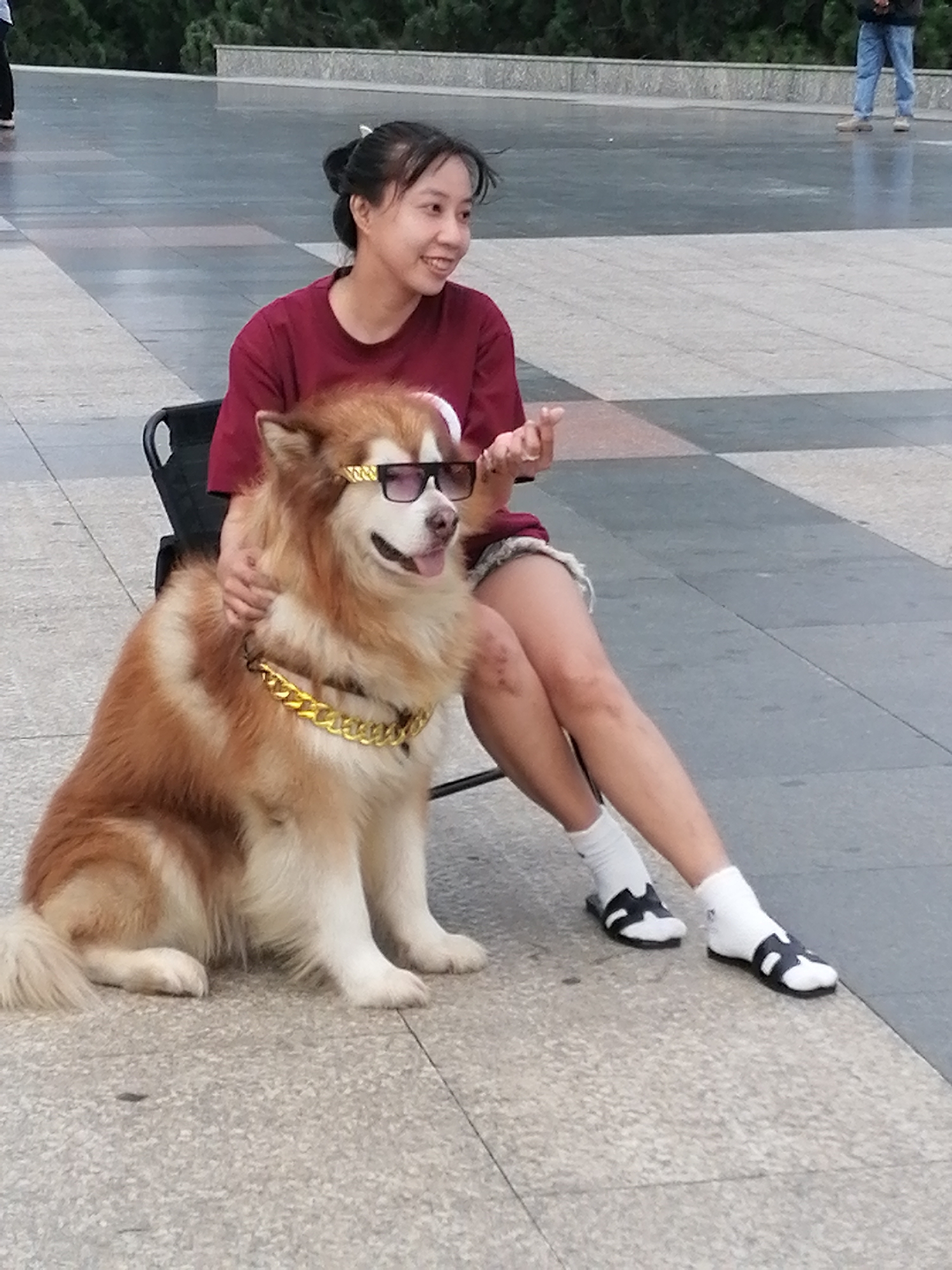 Styled dogs draw a crowd outside Da Lat Flower Garden