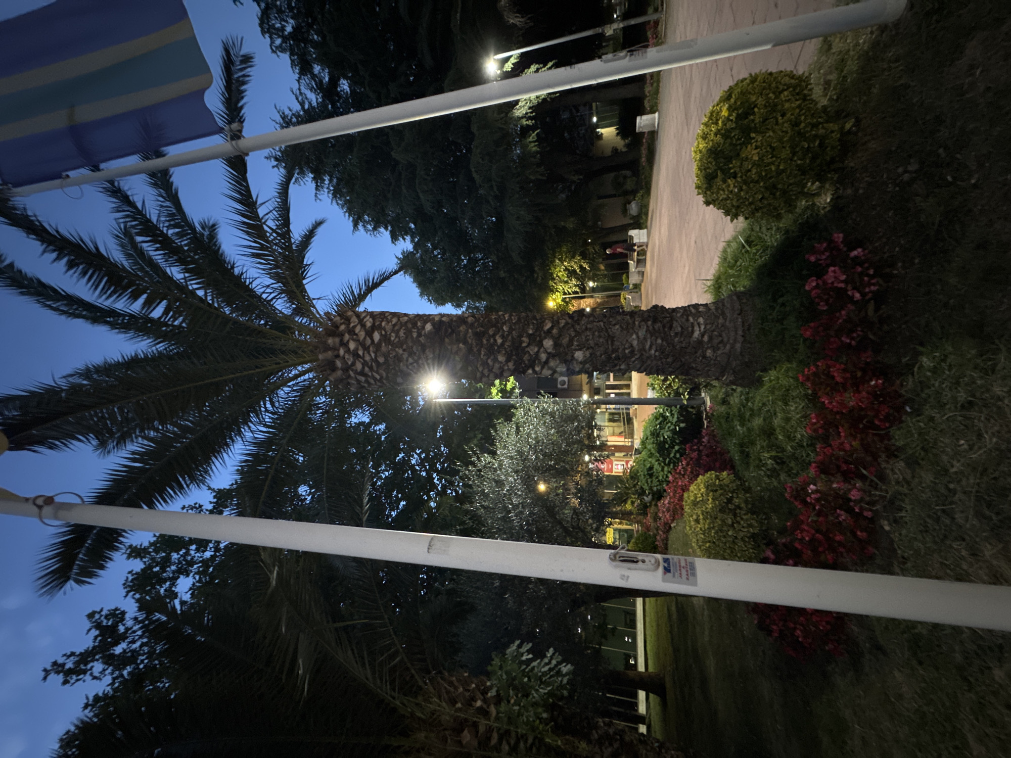 Evening stroll through Bar, Montenegro's streets and parks