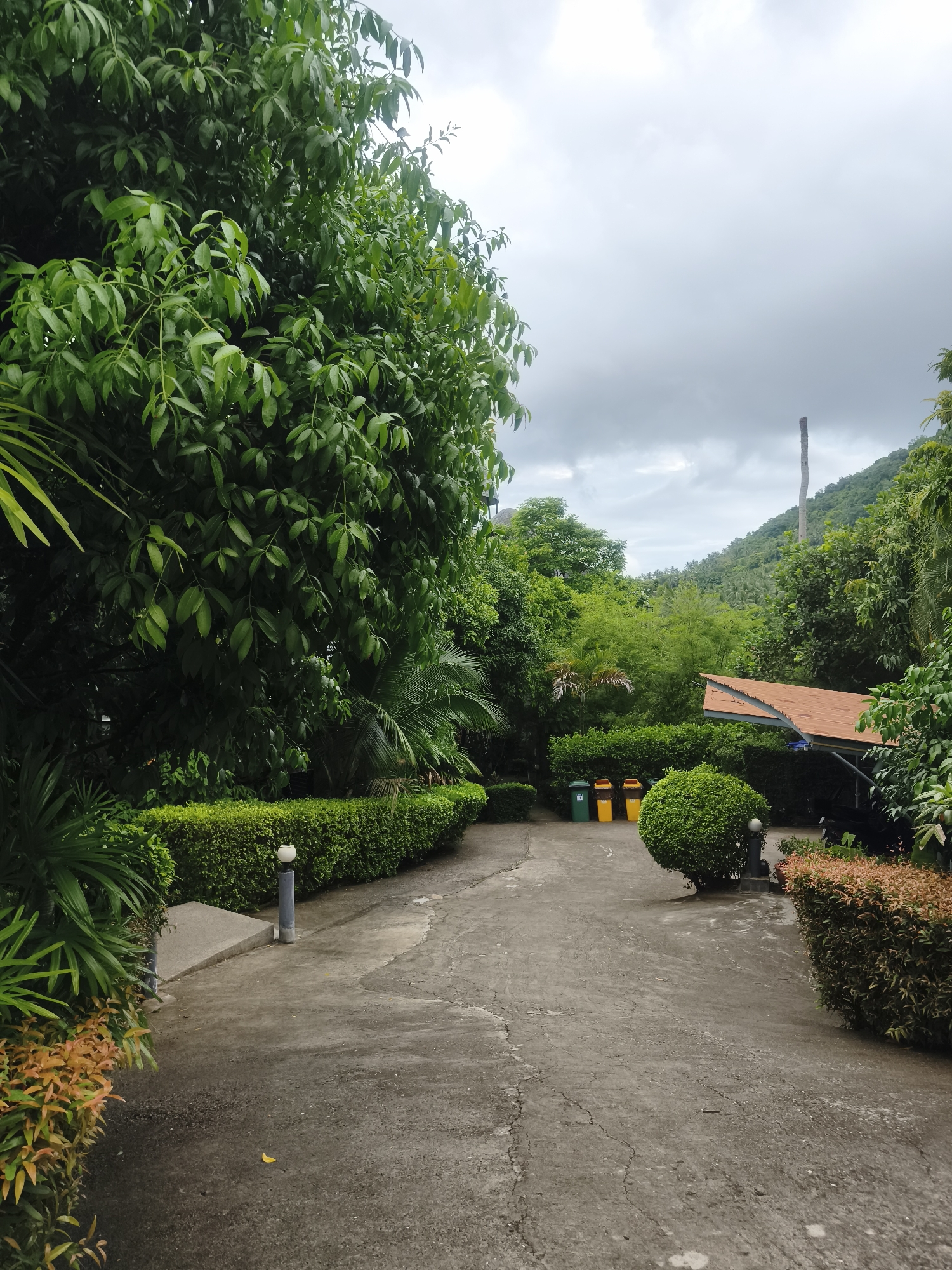 Morning drive through rainy tropical Ko Samui landscapes documented