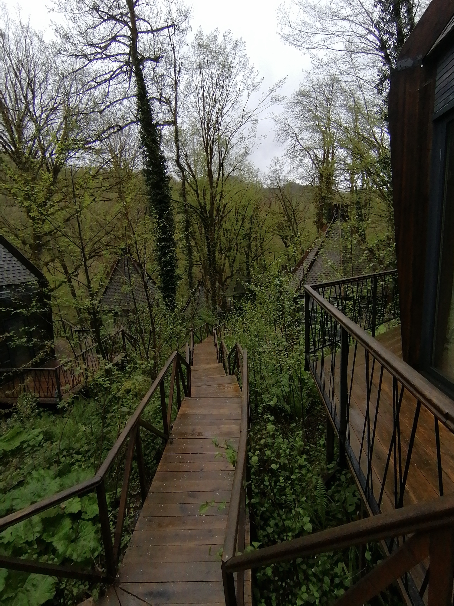 Forest cabin resort documented in Medoveevka, Russia