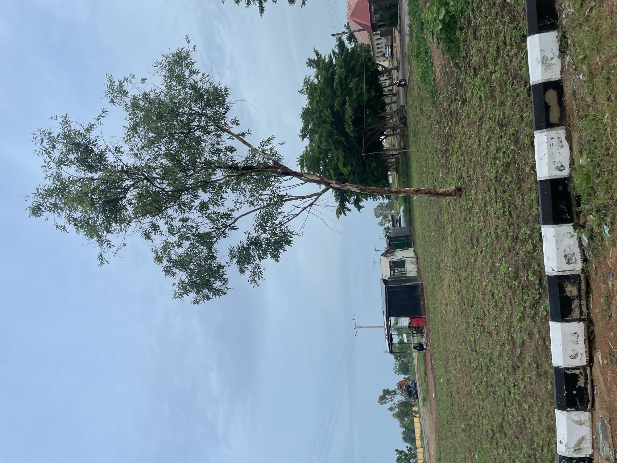 Inside a gated residential compound in Jauro Yinu, Nigeria