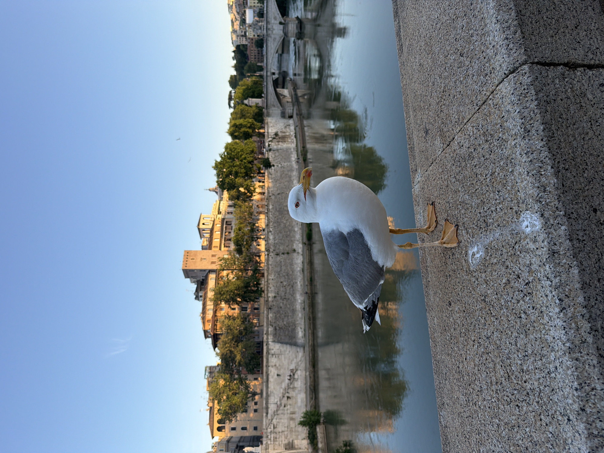 Rome's Ponte Sant'Angelo captured in evening memories