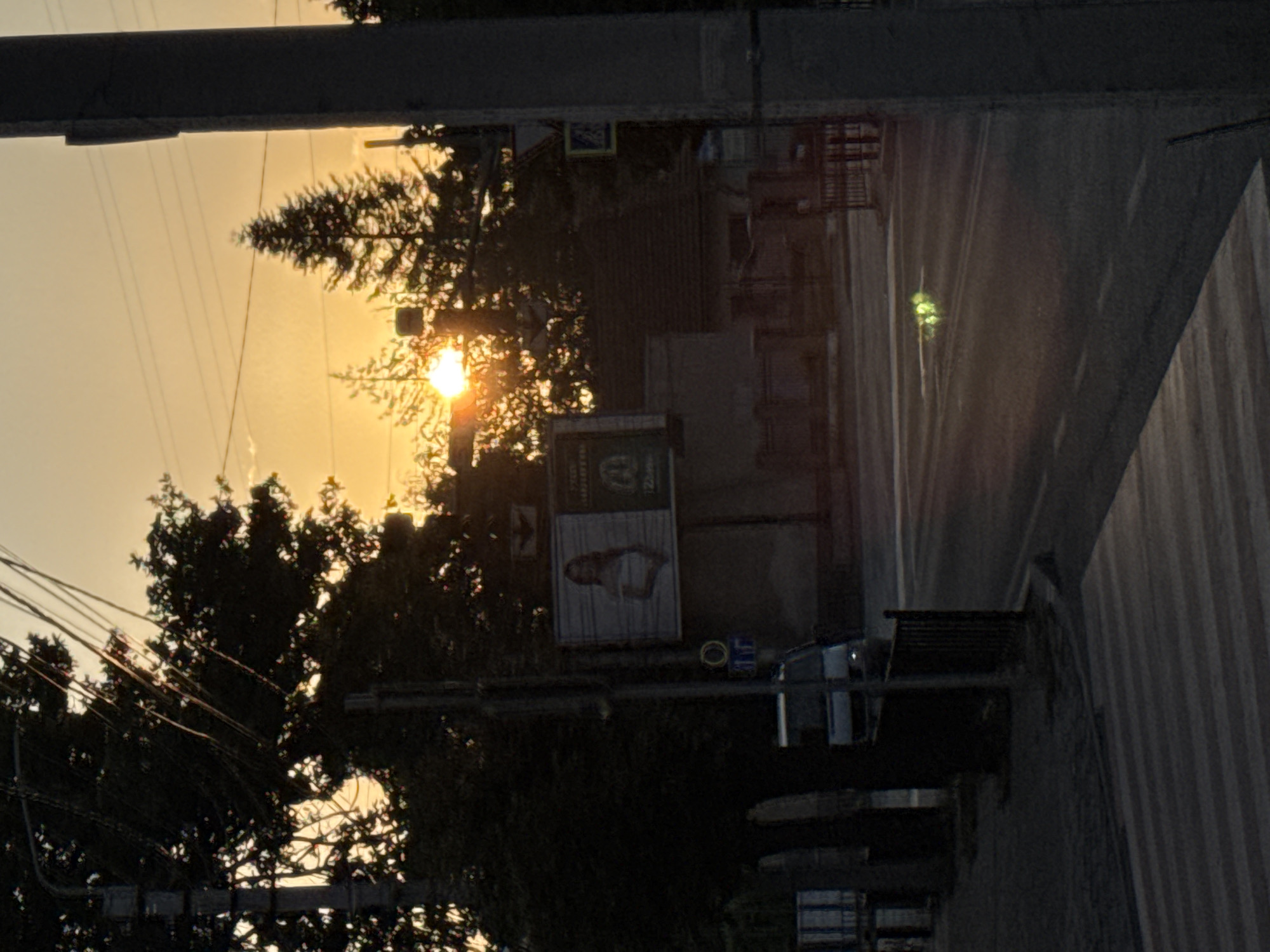Sunset along a Chernivtsi street, trees and wires in silhouette