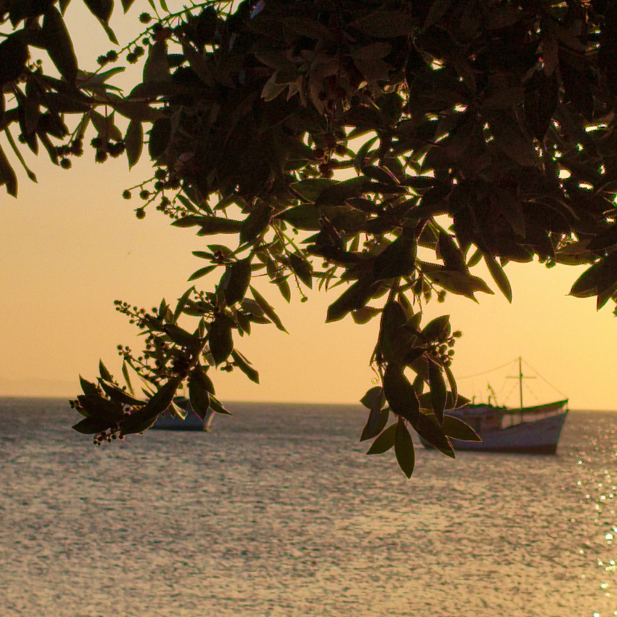 Sunset documented along Juan Griego coast with palm trees