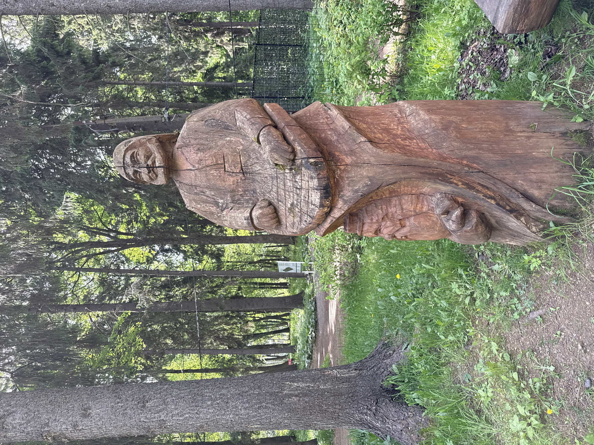 Morning documentation of sculptures and wildlife in Izhevsk parks