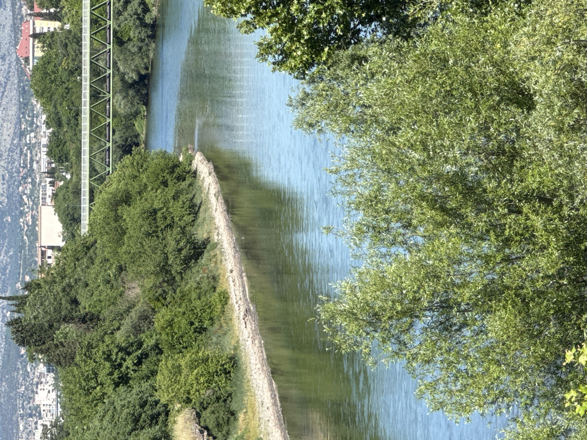 Spring blooms and flowing river documented in urban setting