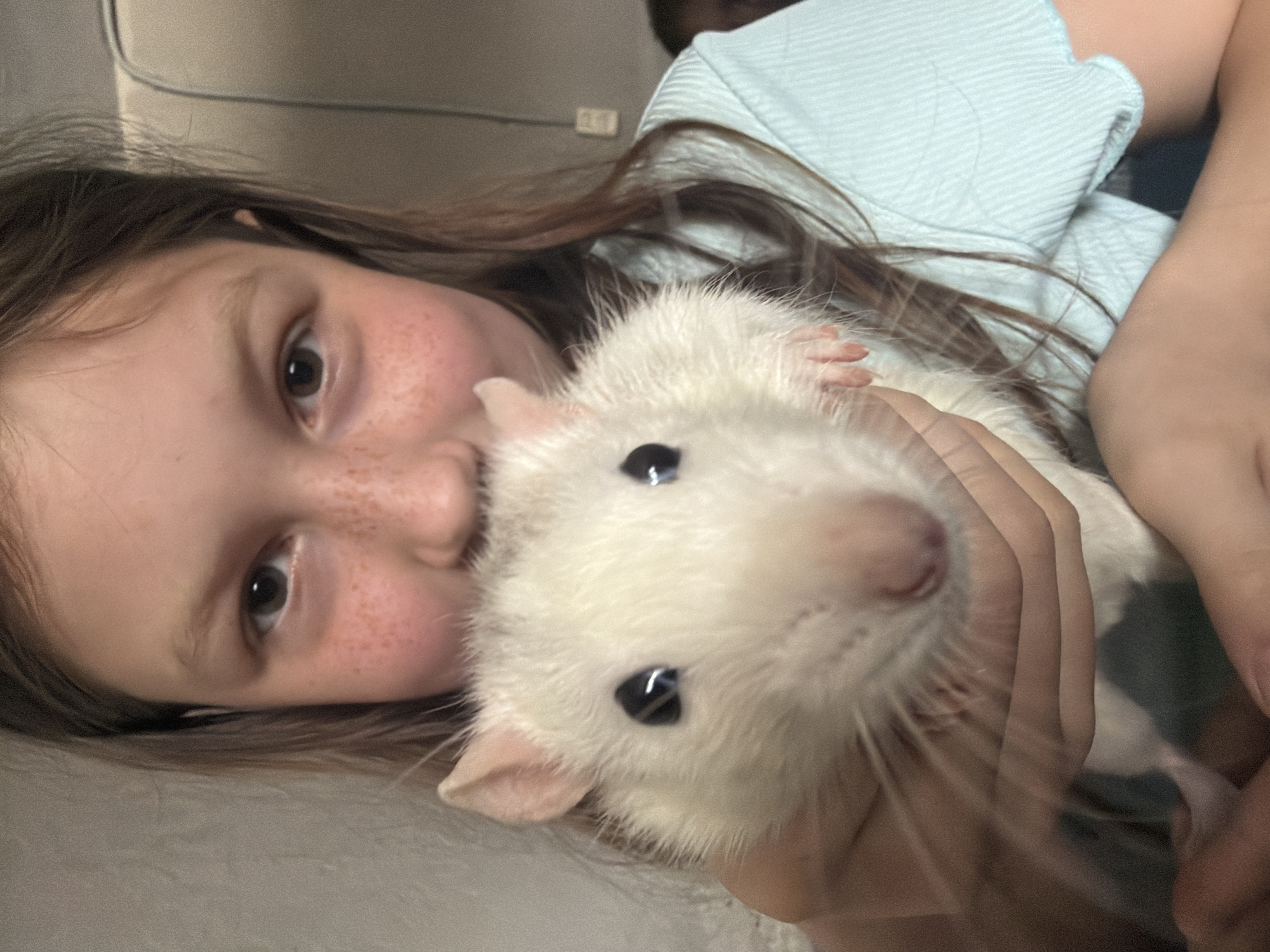 Girl plays with pet rats, rhubarb emerges in Dubovaya