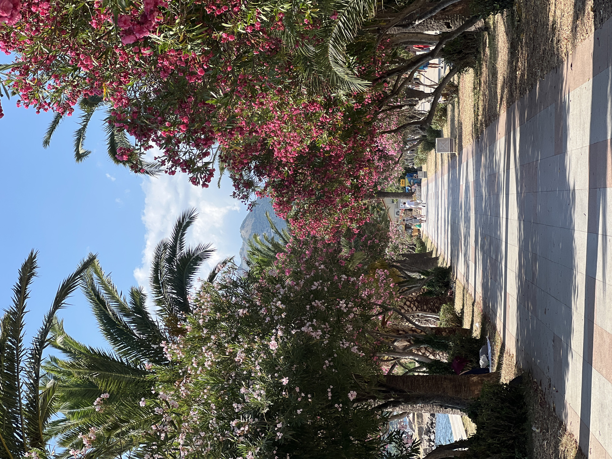 Bar's blooming promenade on a bright July afternoon