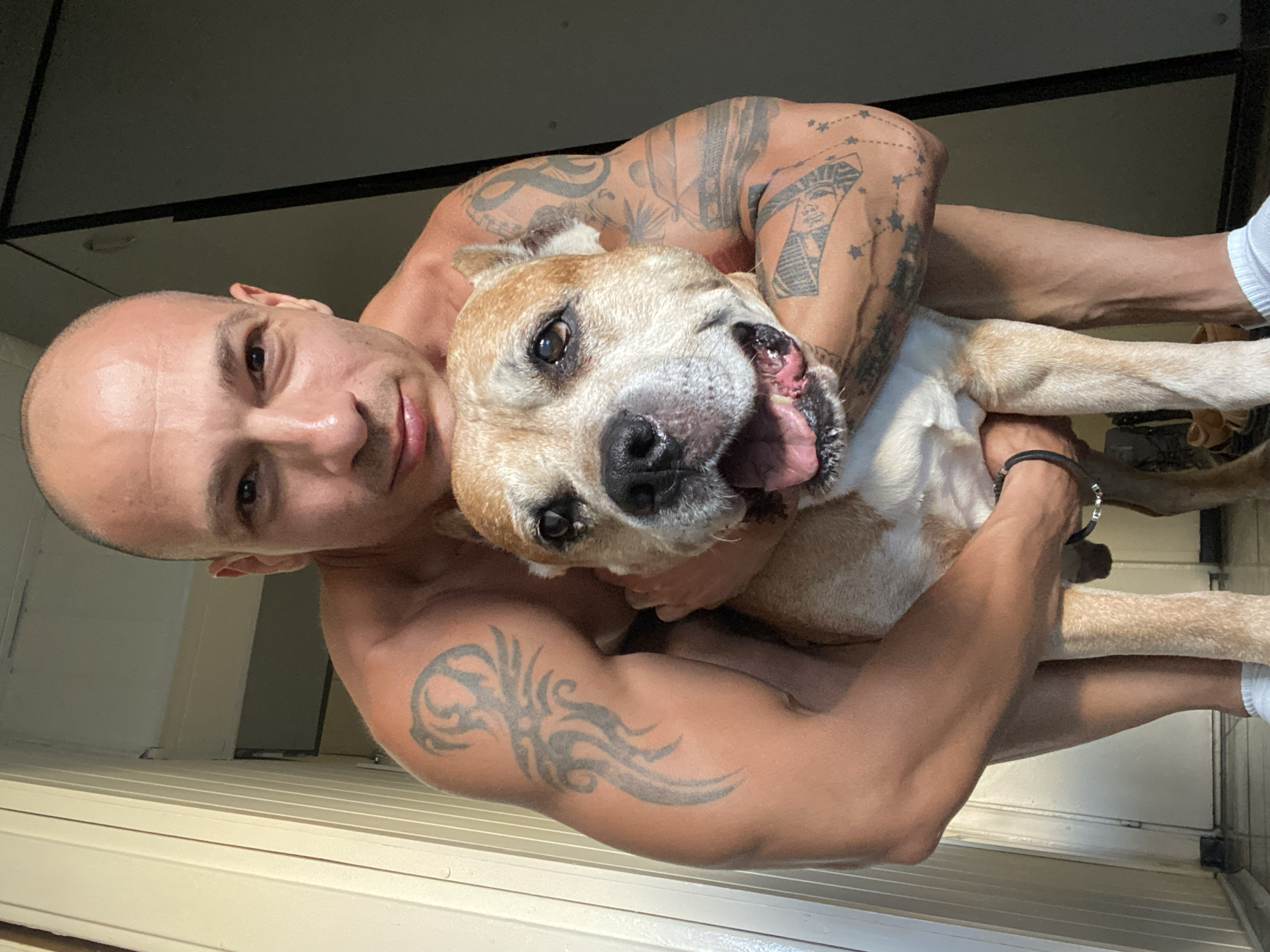 Tattooed person and panting dog share a close indoor moment