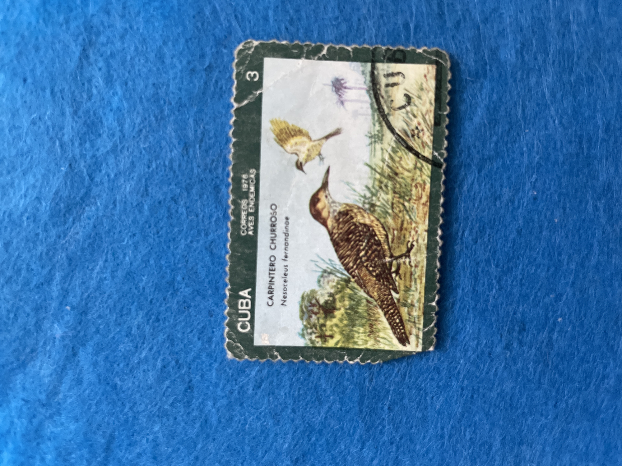 Soviet-era and thematic postage stamps photographed in Perm