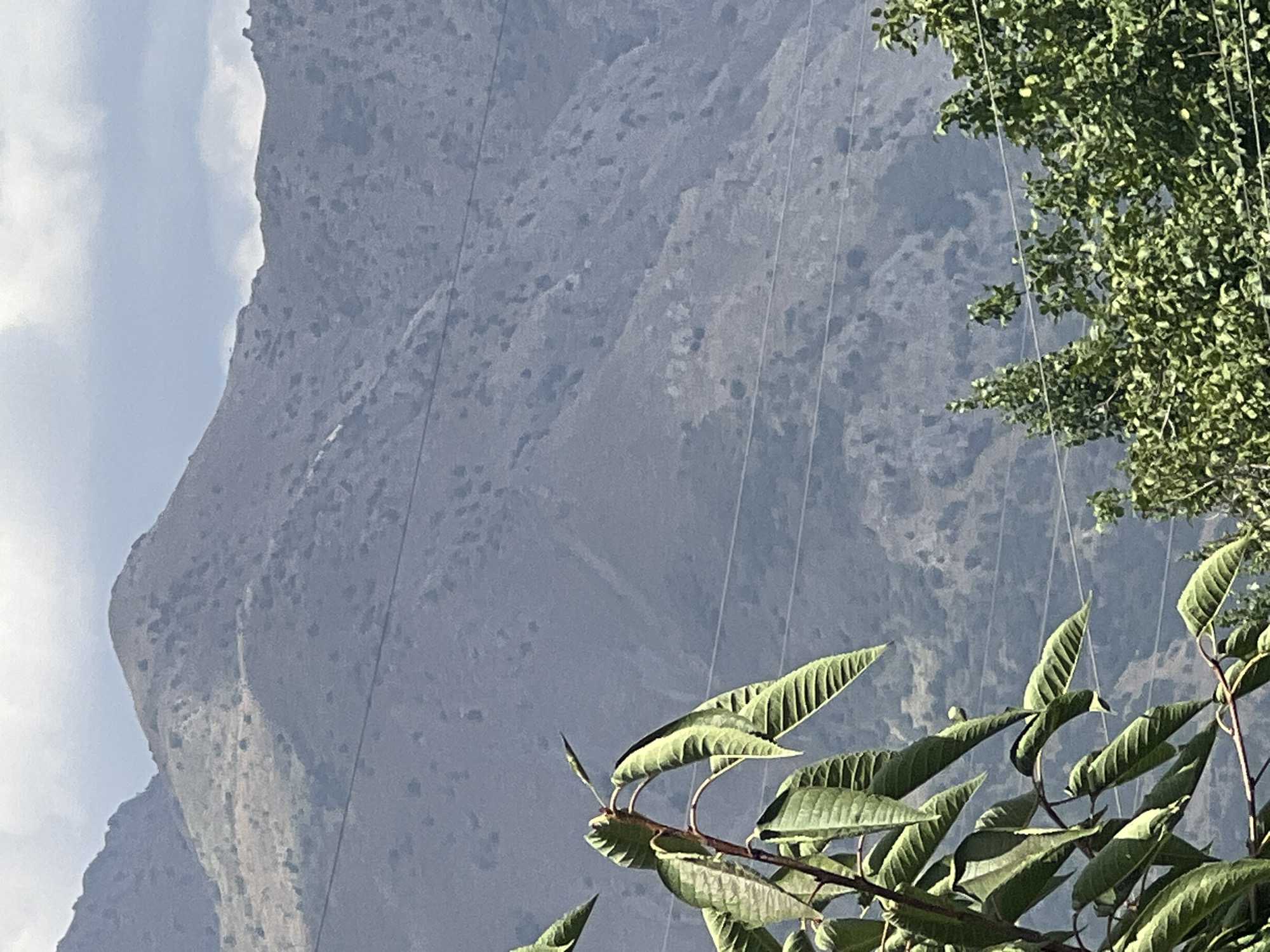 Mountain and tree views from Yusuphana, Uzbekistan