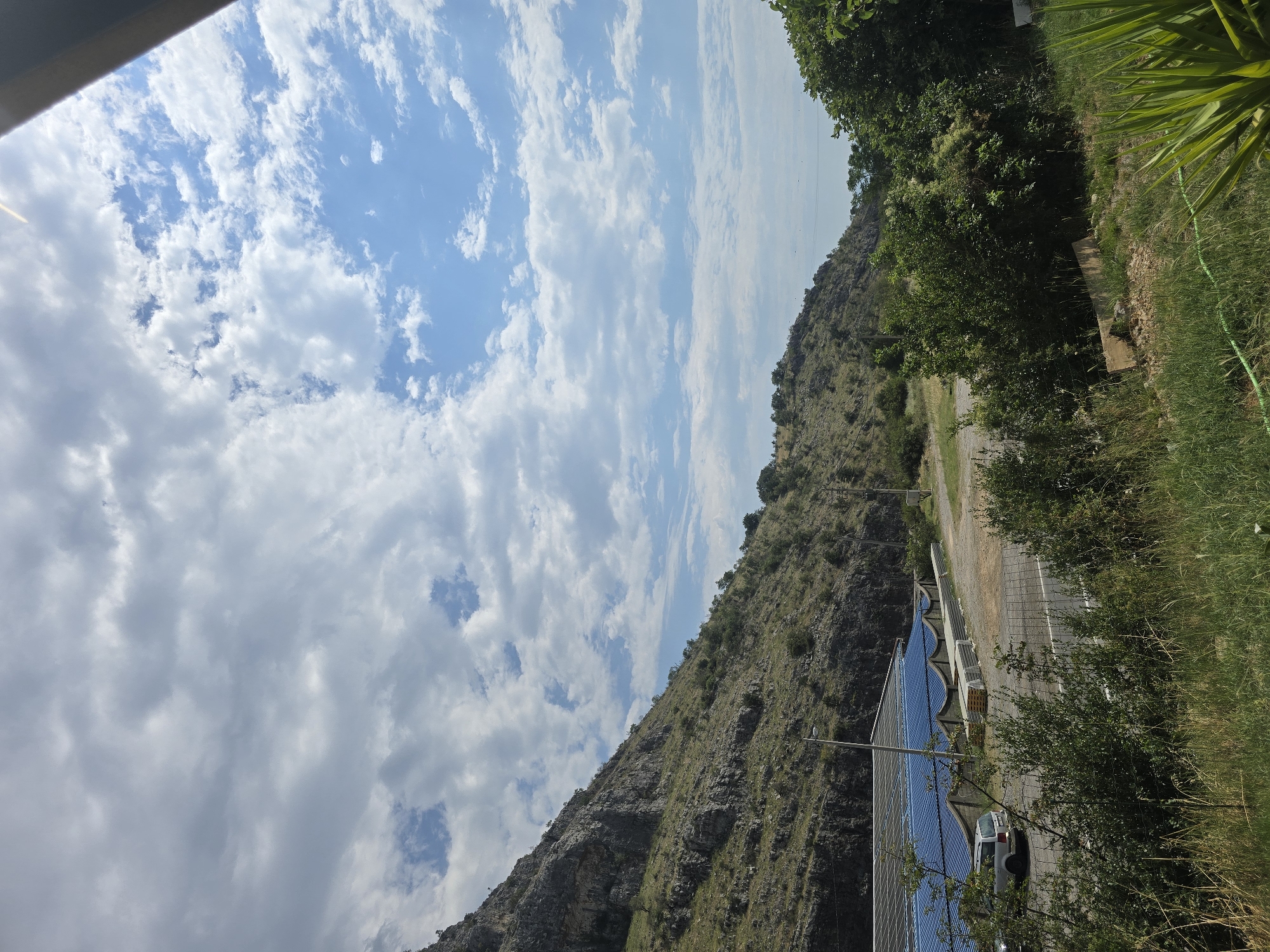 Mountainous landscape and garden plants near Podgorica