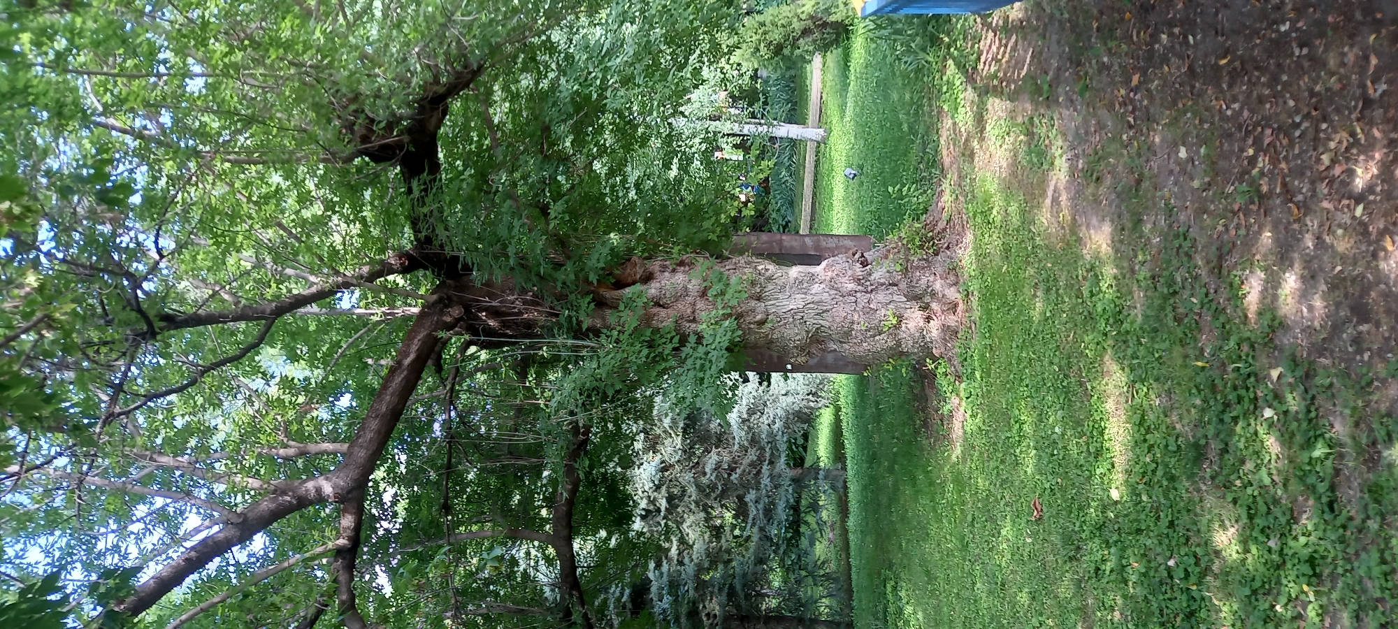 Silistra's riverside park mixes ancient ruins with everyday life