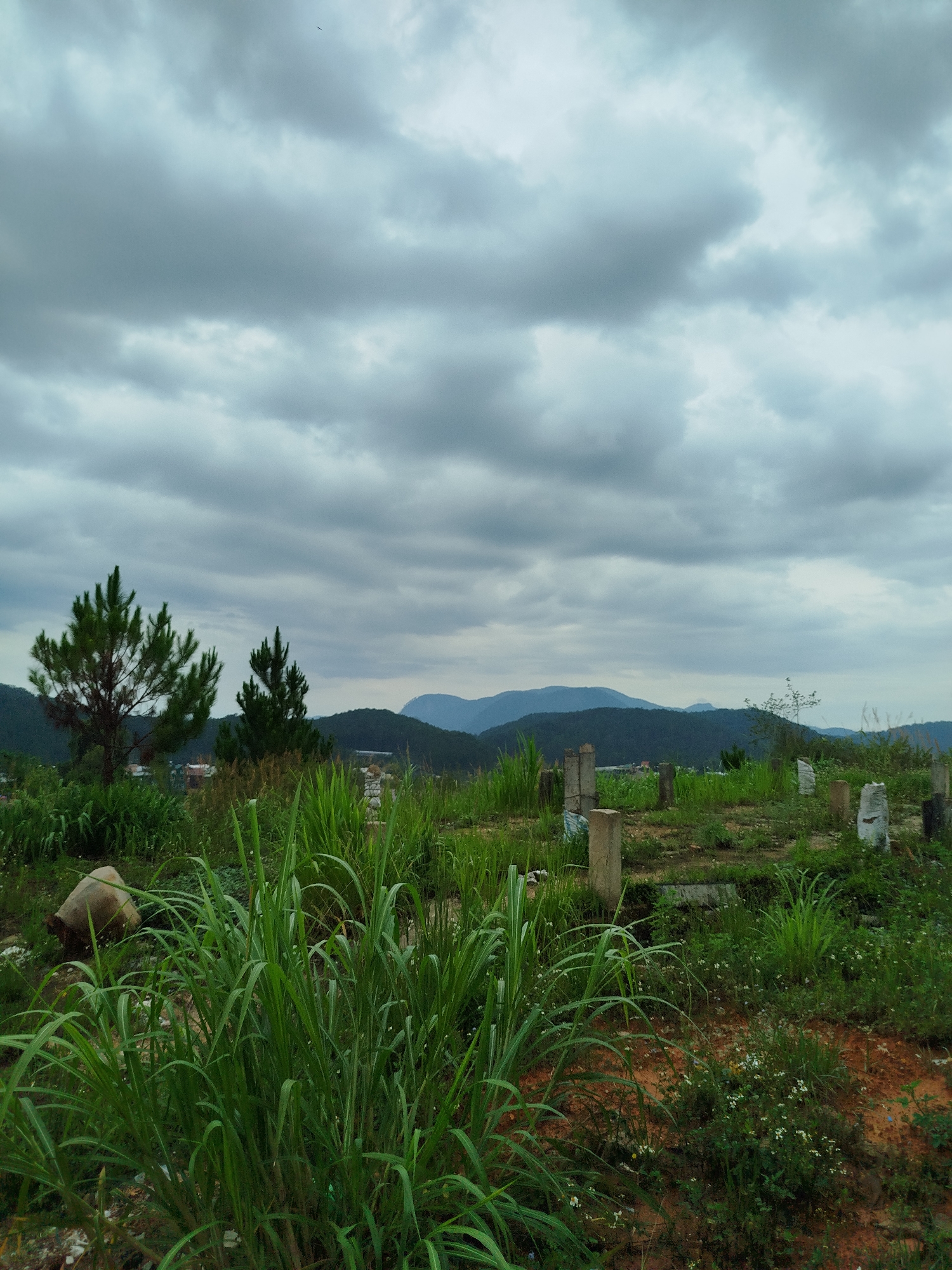 Architectural survey of Da Lat residential buildings documented in Vietnam