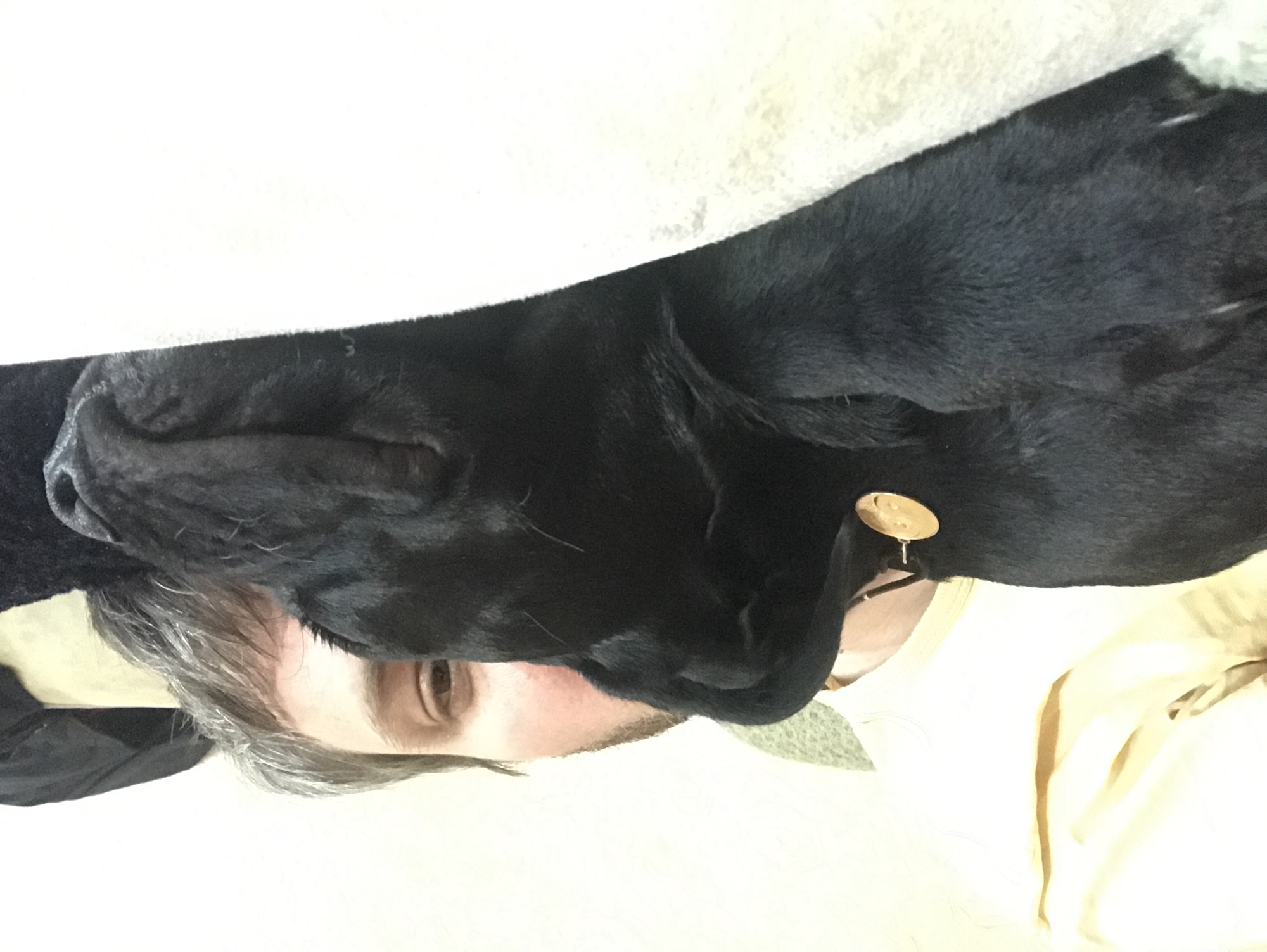 Person shares quiet moment with black Labrador in Kharkiv