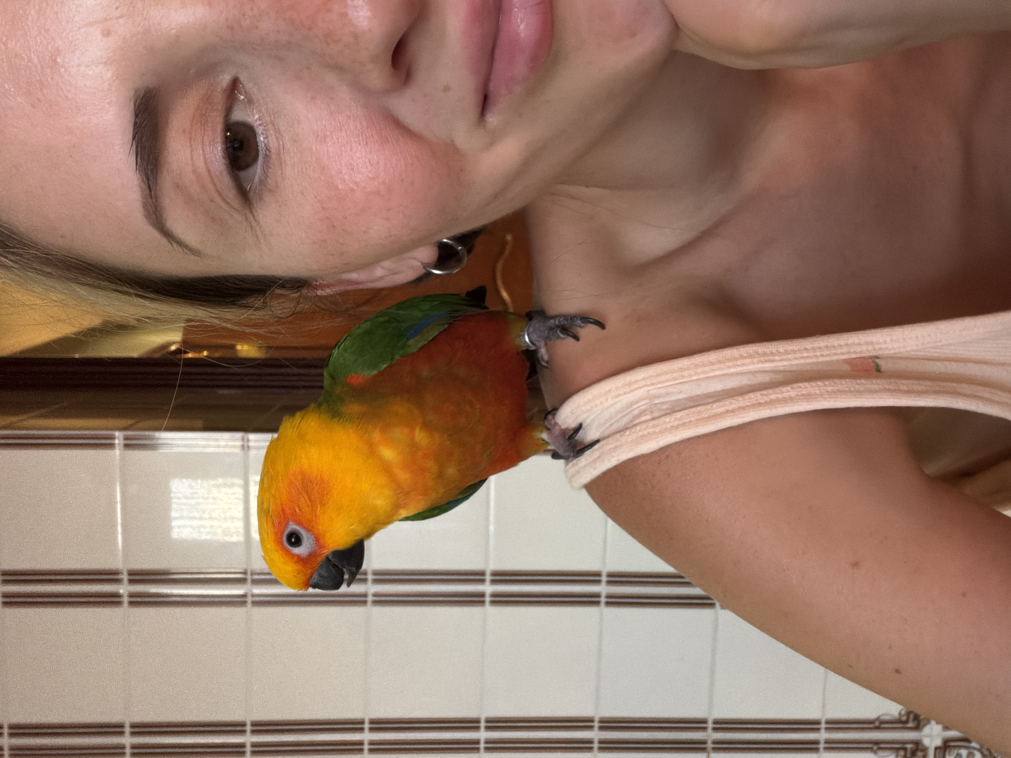 Evening domestic life documented in Khimki: pets, crafts, selfies
