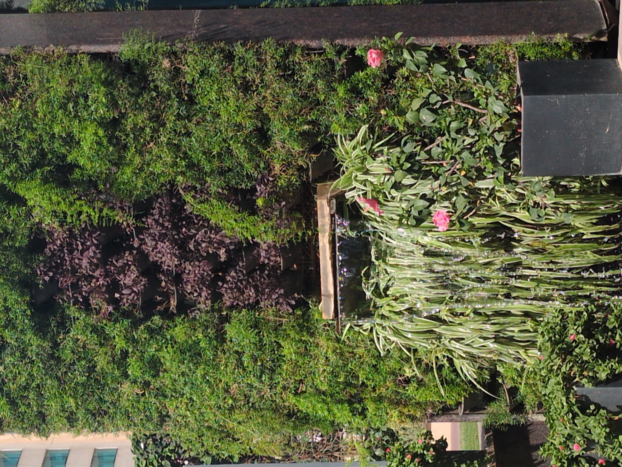 Urban Bengaluru scenes documented: gardens, Ganesha statue, construction activity