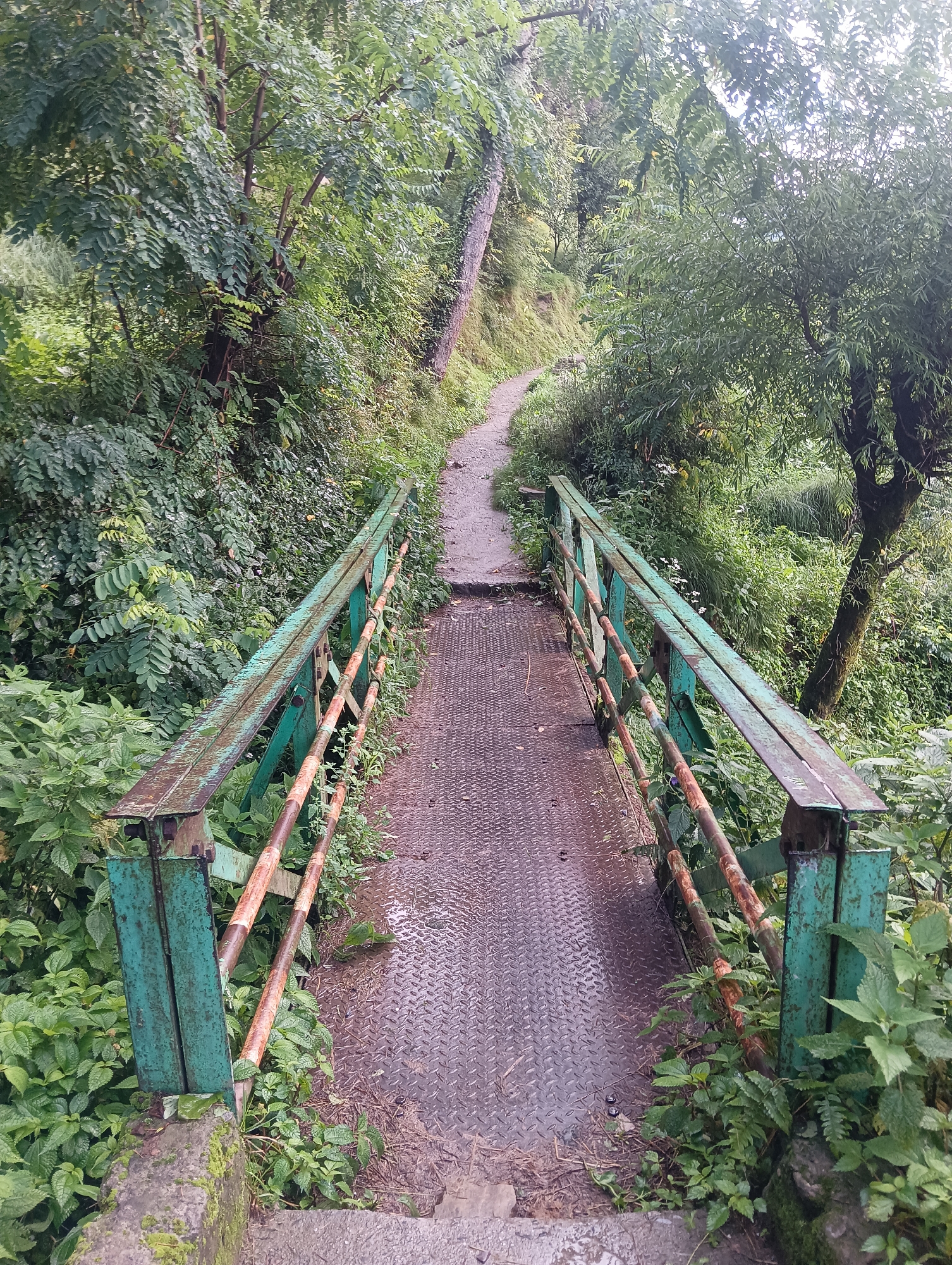 Manali valley on a cloudy monsoon day