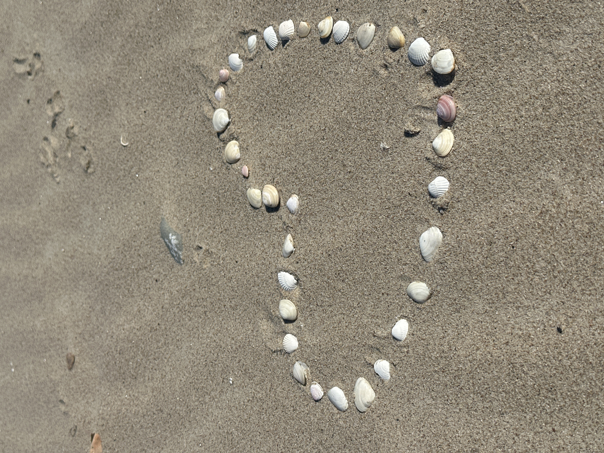 Casual beach scenes documented along Latvia's Baltic coast
