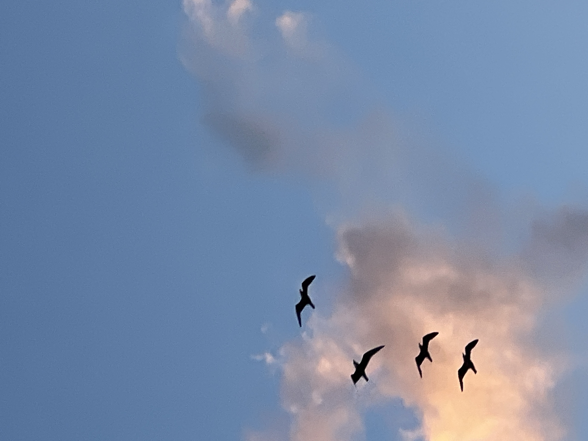 Sky watching session captures changing clouds over Chaikovsky, Russia