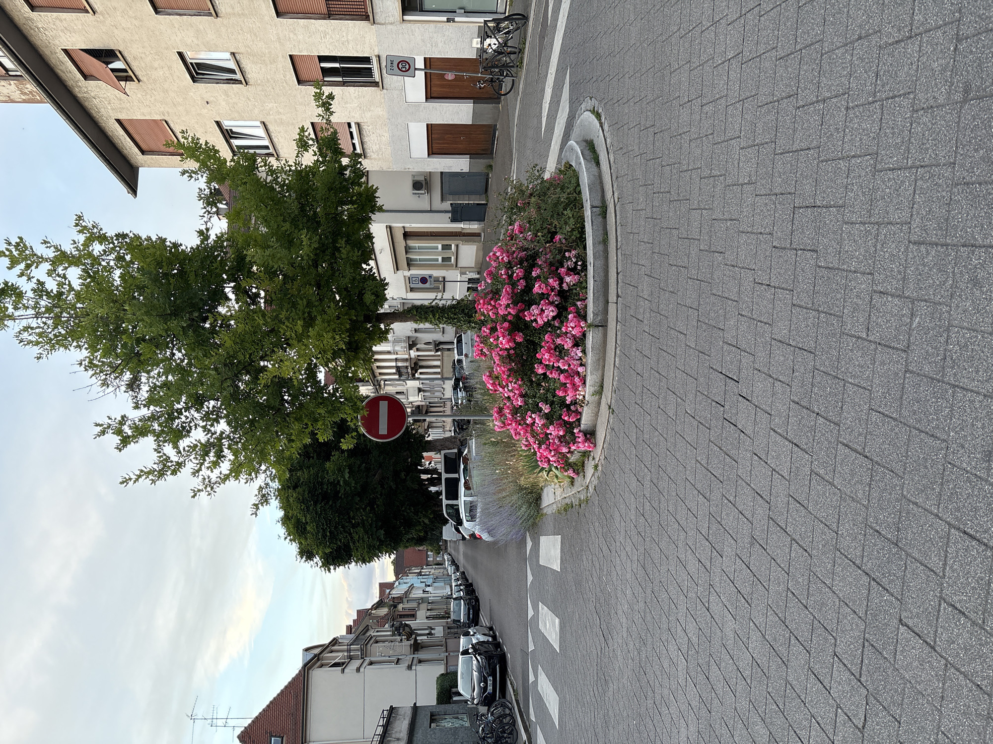 Sunset scenes and blooming roses captured across Strasbourg streets