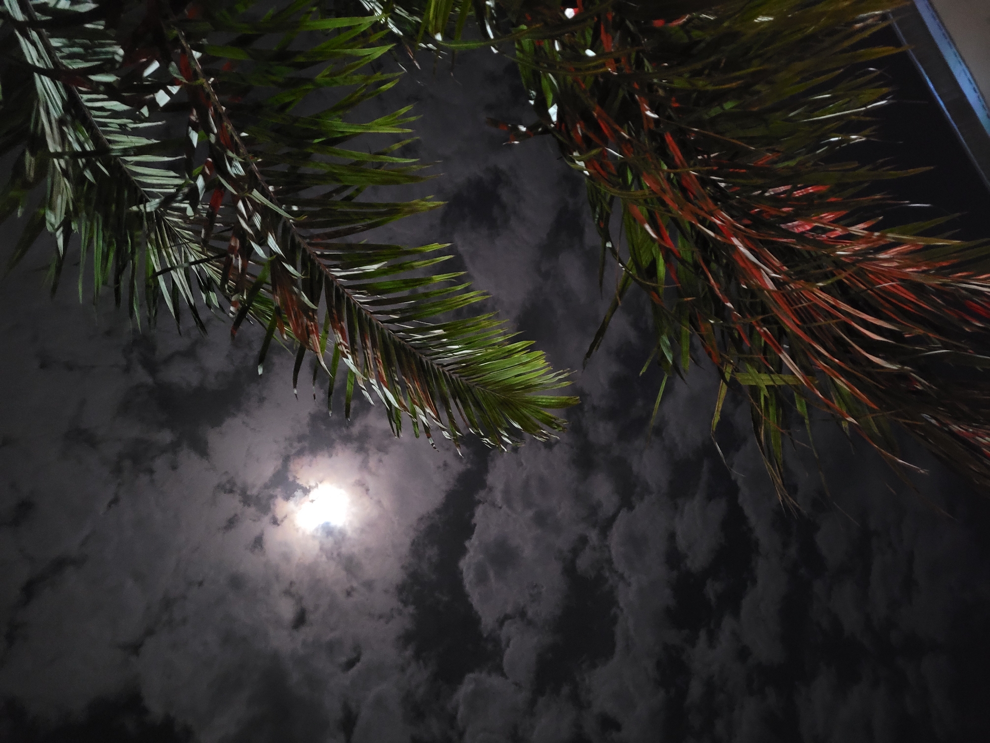 Nighttime scenes and street food captured in Akwanga, Nigeria