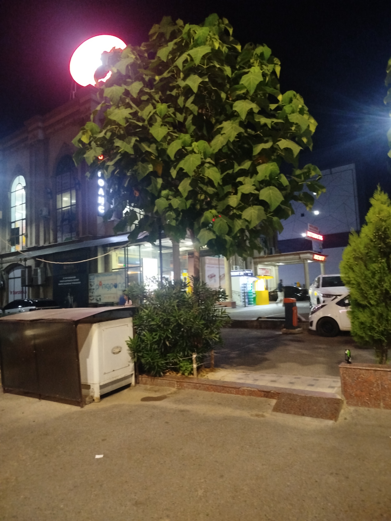 Summer night in Tashkent: streets, trees, and an energy drink