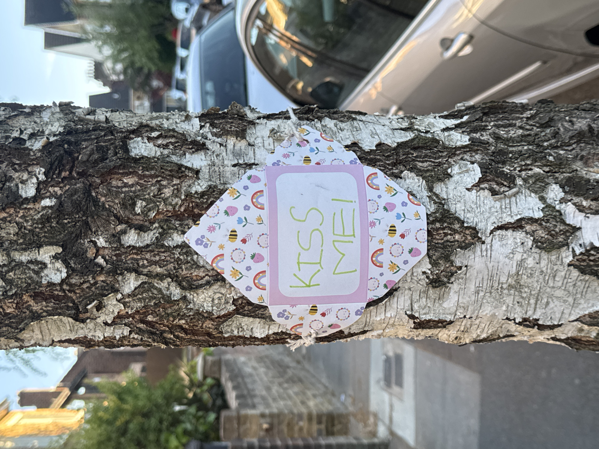 London observer captures tree branch and brick building details