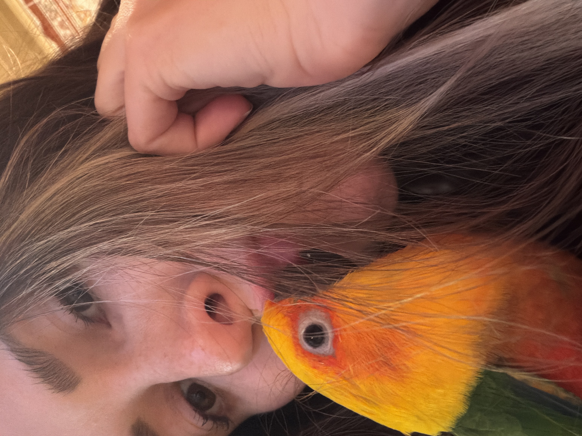 Woman poses with colorful sun conure parrot in Khimki