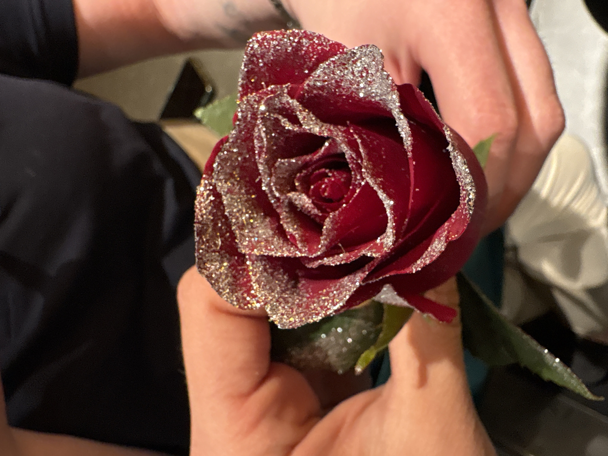 Glittered red rose held in Kragujevac cafe setting