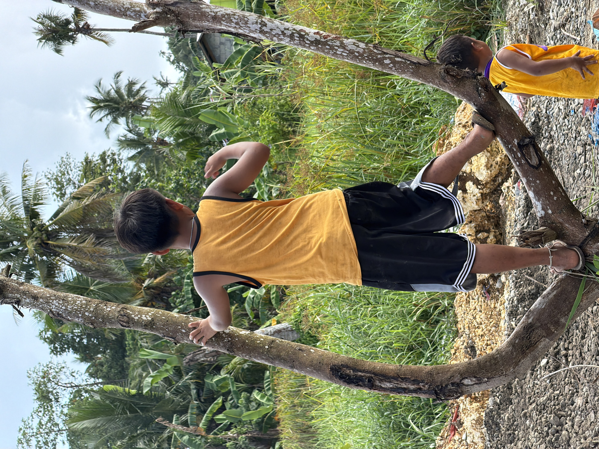 Children play on fallen tree after rain in General Luna